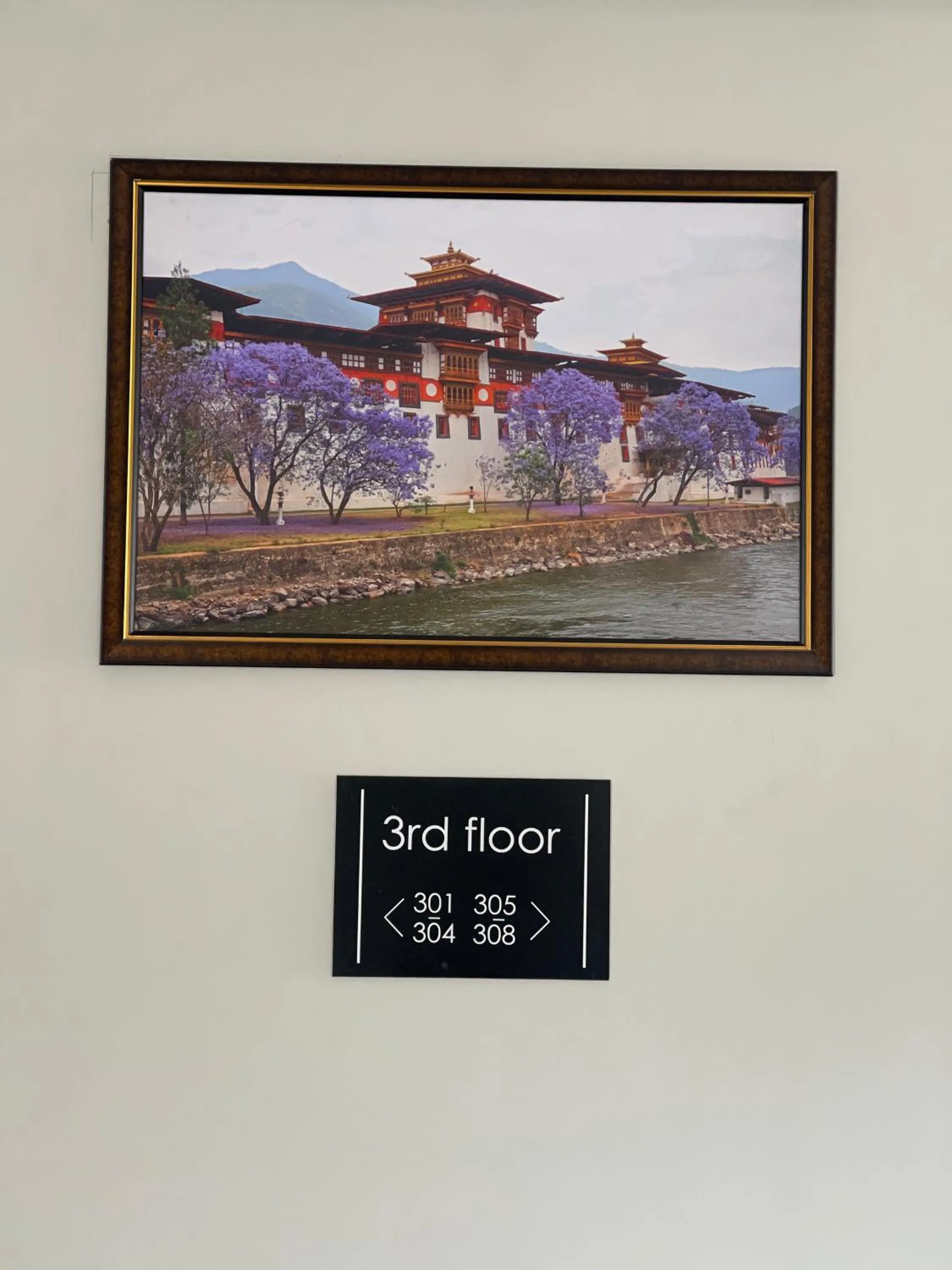 Decorative detail in Yang Bhutan Hotel