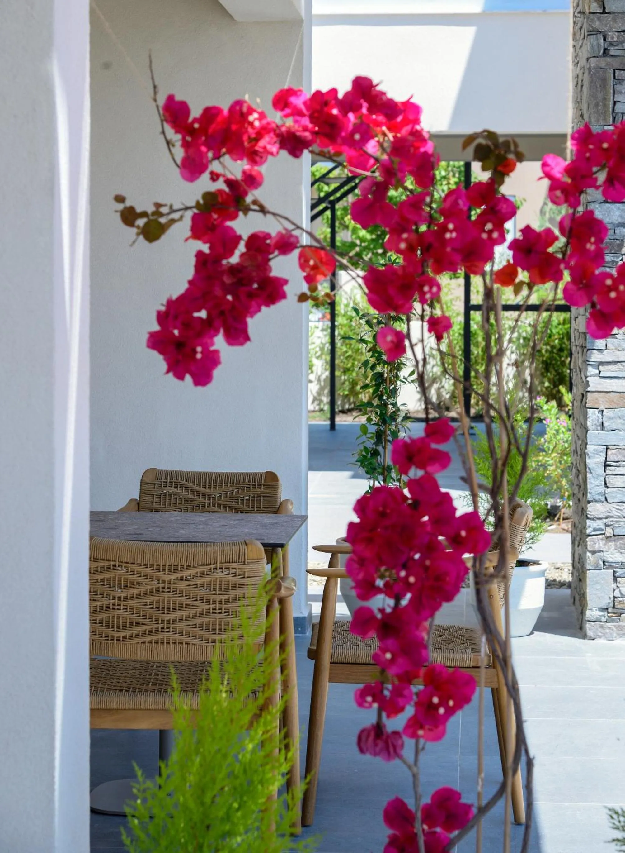 Balcony/Terrace in Amyntas Seafront Hotel - Adults Only