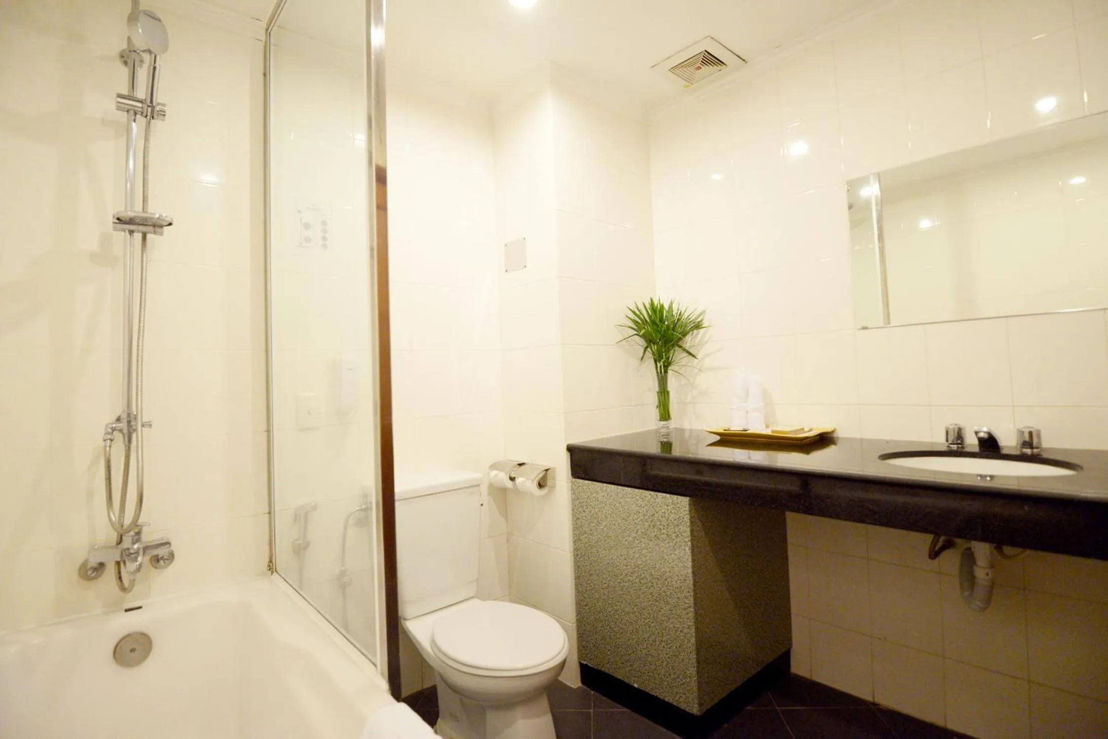 Bathroom in Palace Hotel Vung Tau