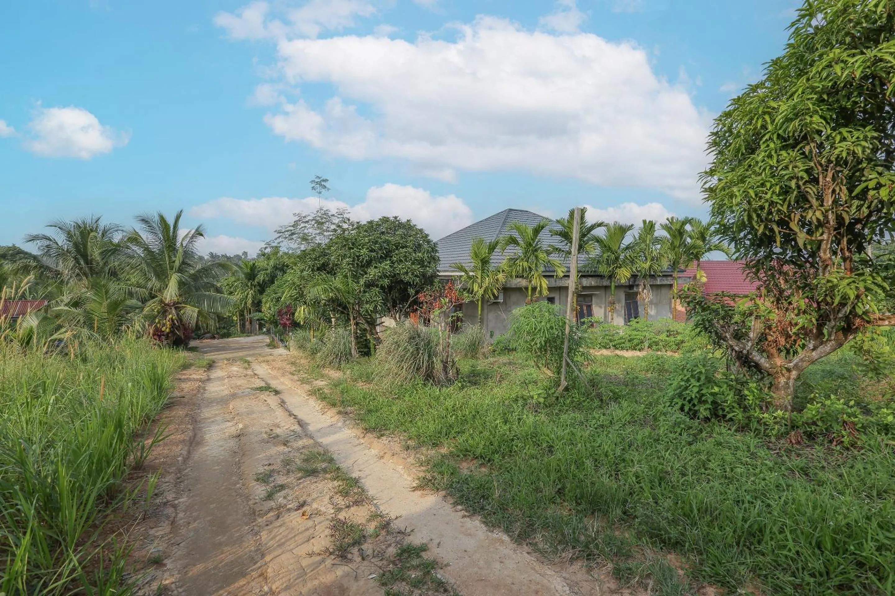 Garden in Hotel O Homestay Romauli Kampung Radja