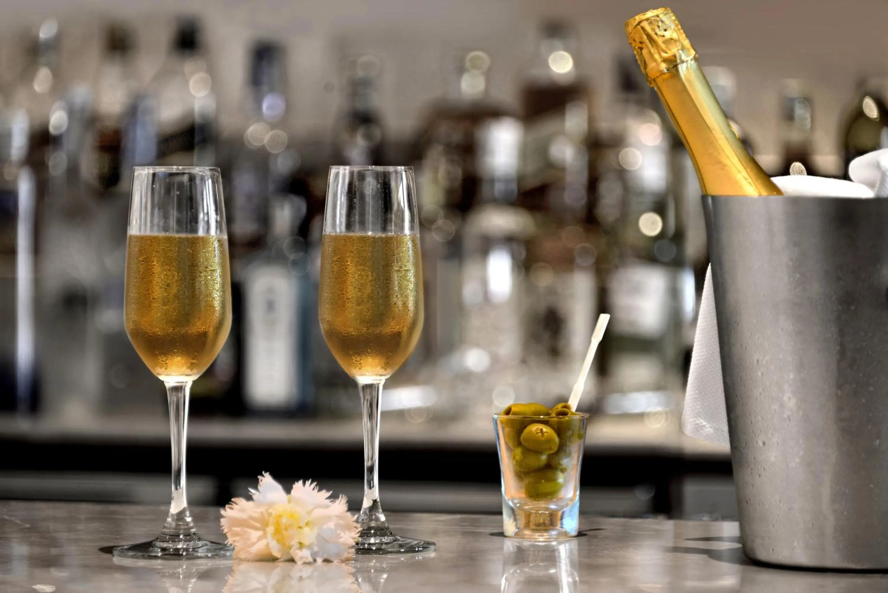 Food and drinks in Park Plaza Chandigarh Zirakpur