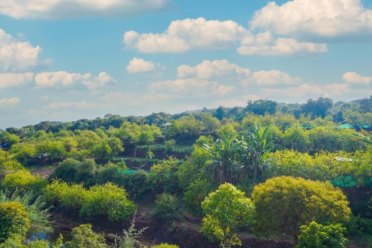 Mountain view in Saanjh Riverside Resort