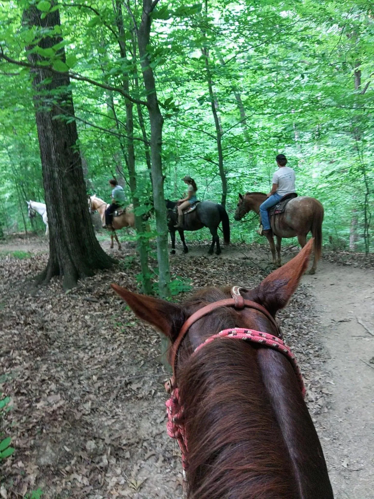 Property building in The Loft By Moondance