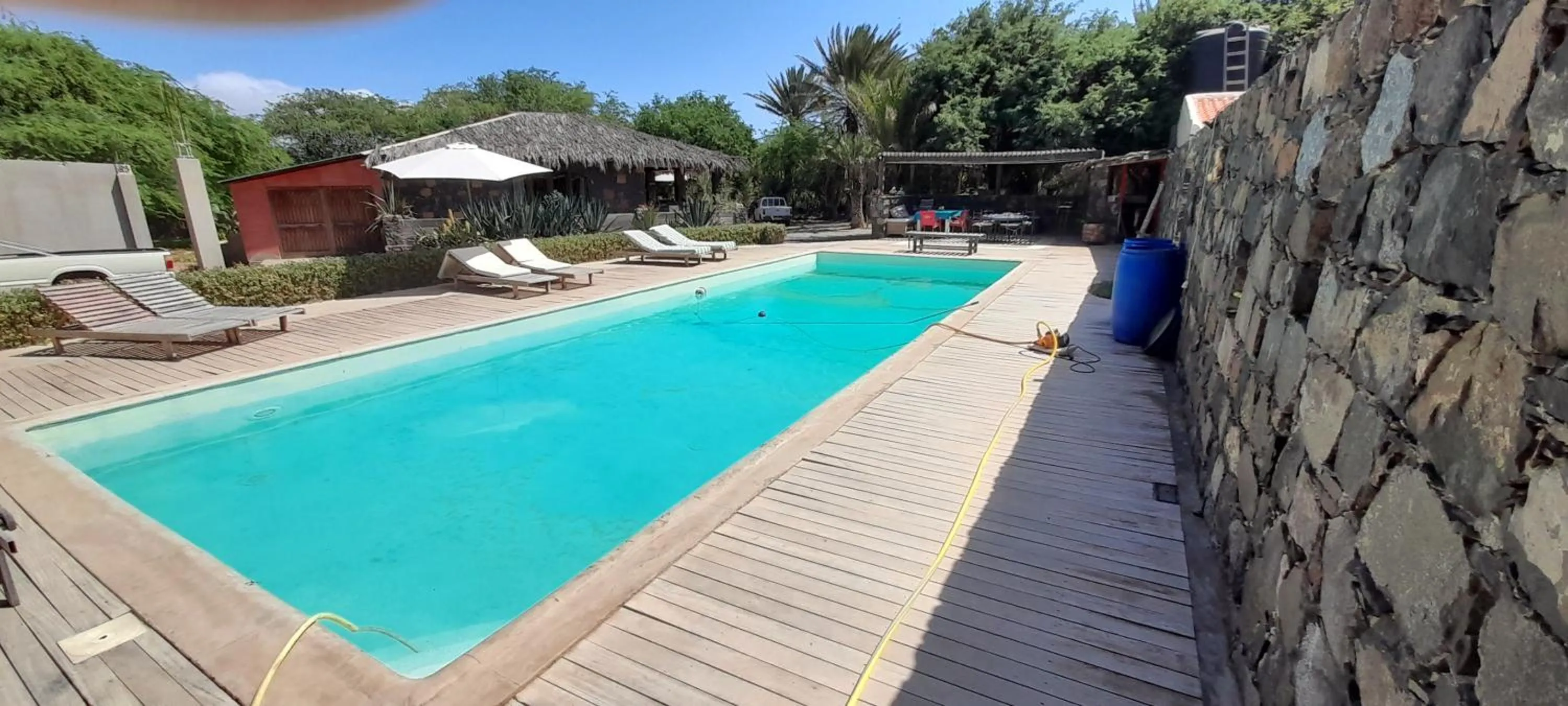 Garden view in Villa Morabeza Guest House