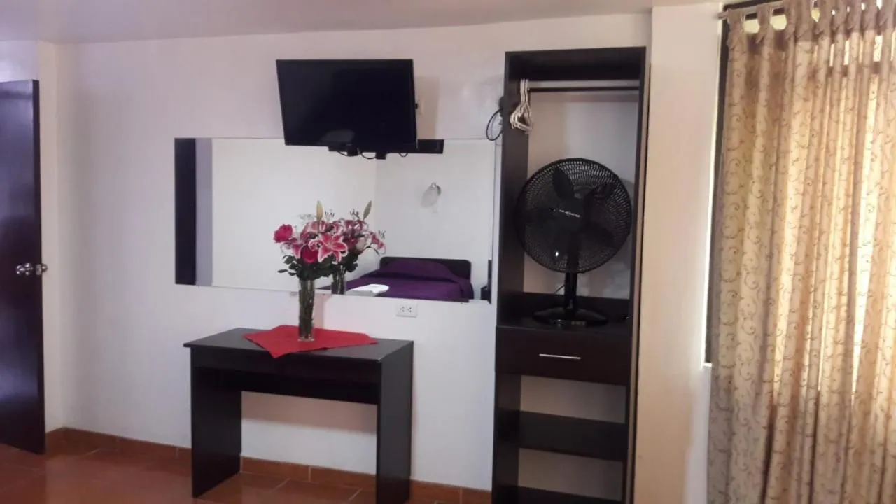 TV and multimedia in HOTEL FIORELLA PARACAS