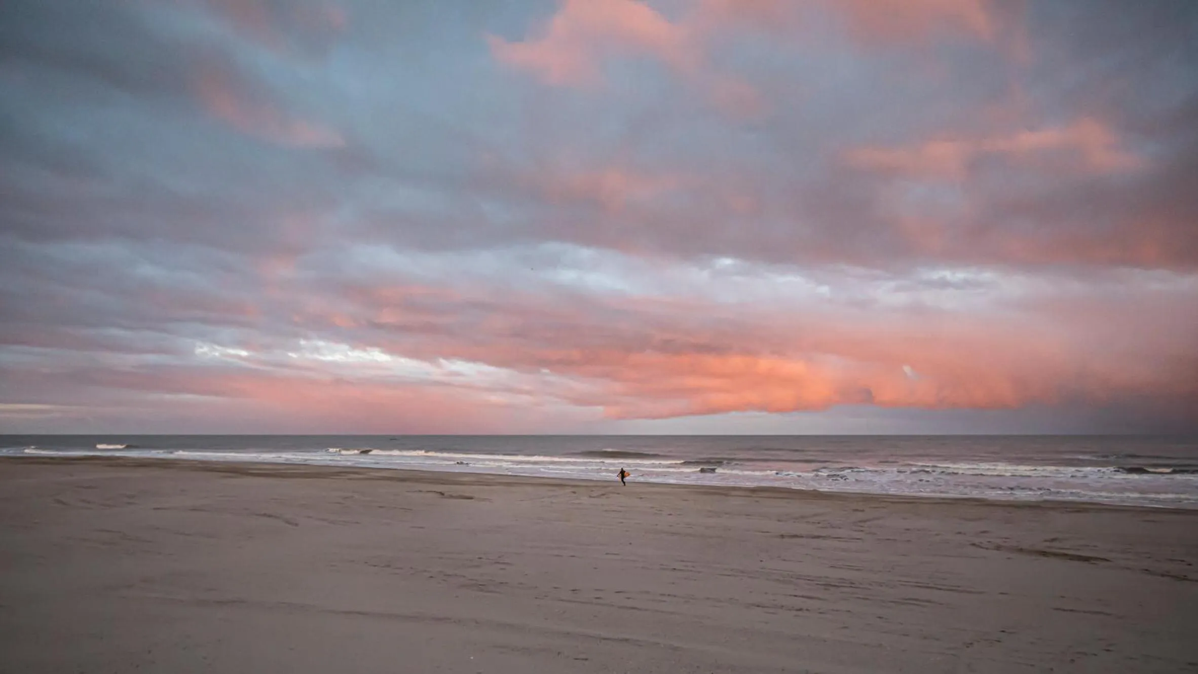Natural landscape in Strandhotel Camperduin
