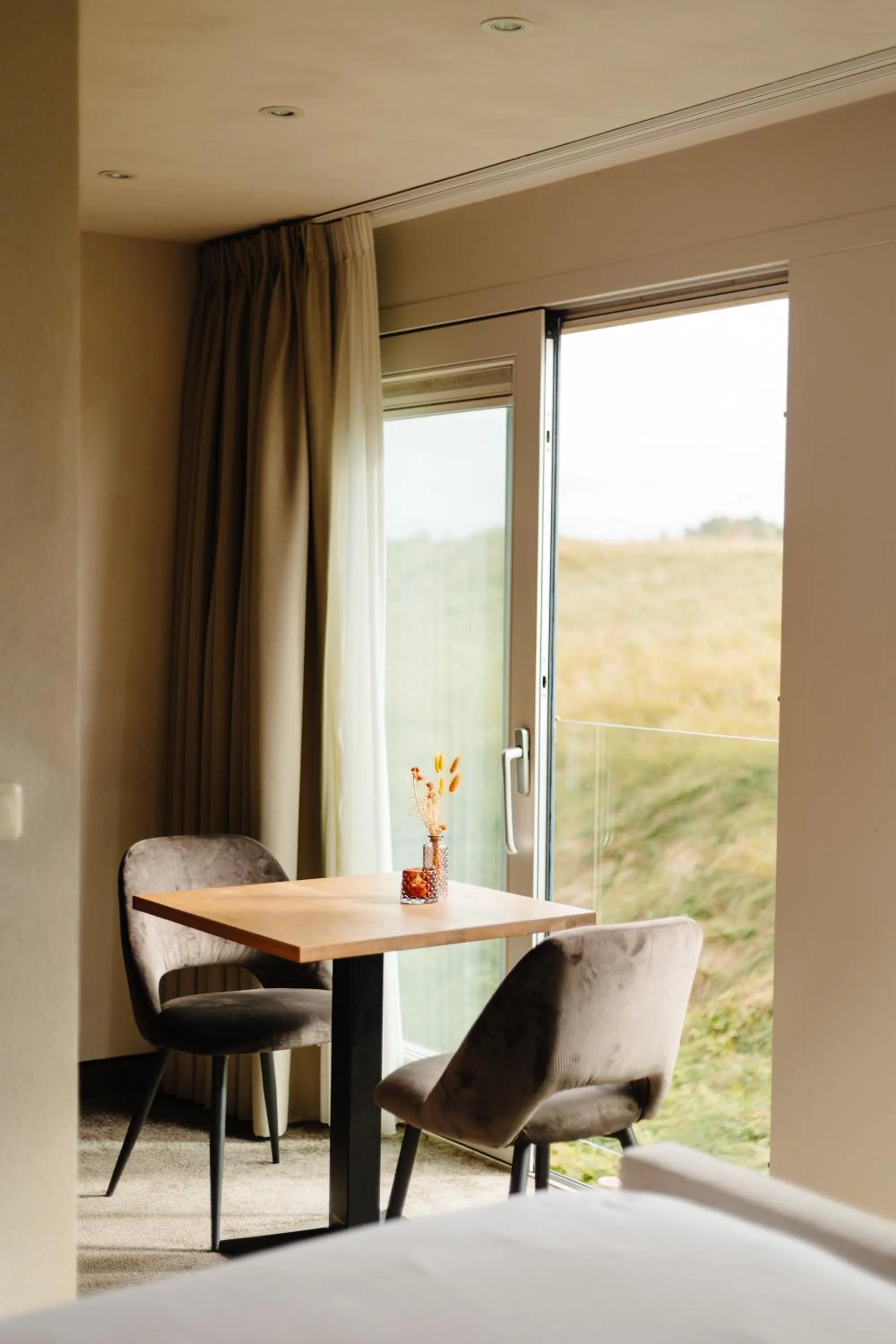 Natural landscape in Strandhotel Camperduin