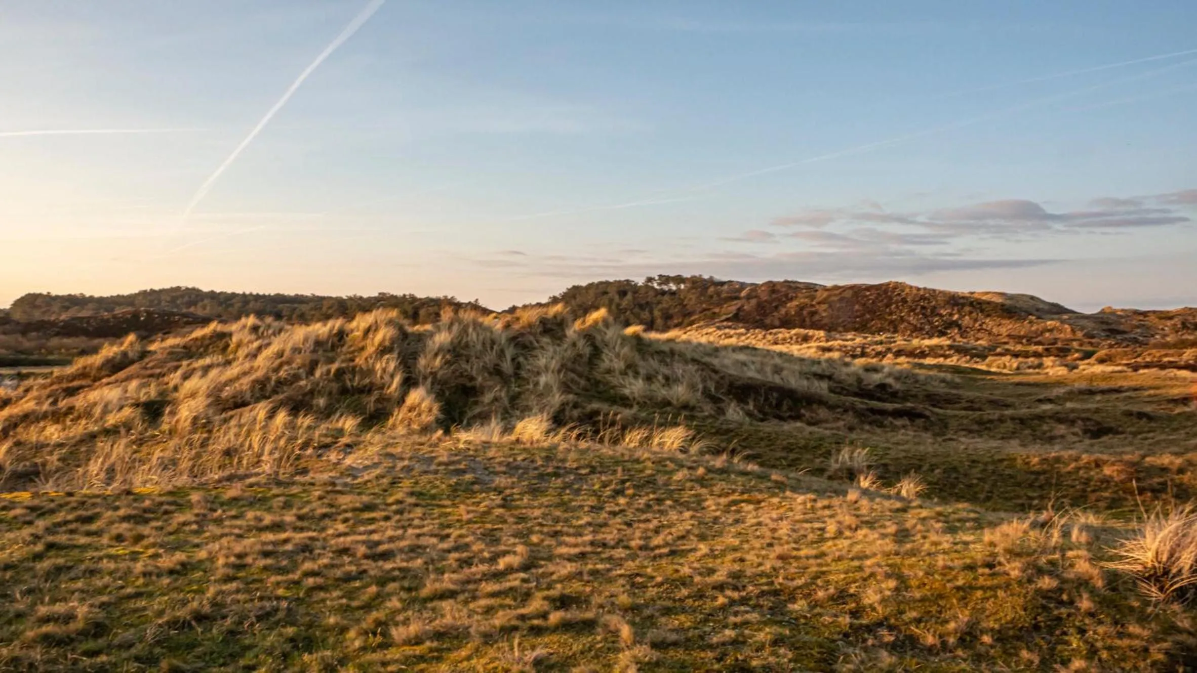 Natural landscape in Strandhotel Camperduin