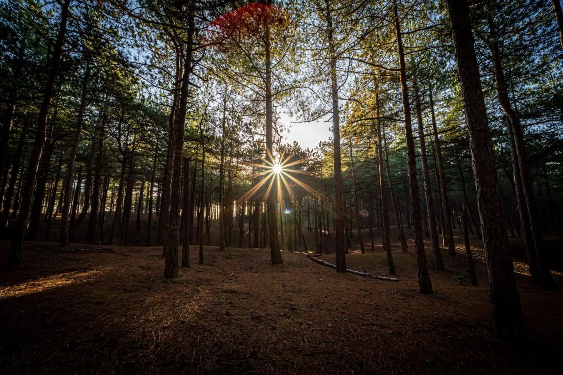 Day in Strandhotel Camperduin