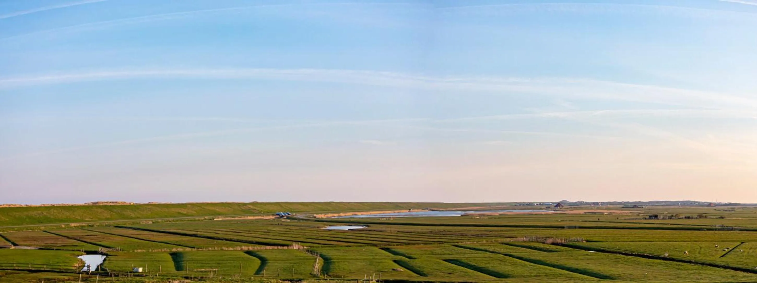 Day in Strandhotel Camperduin