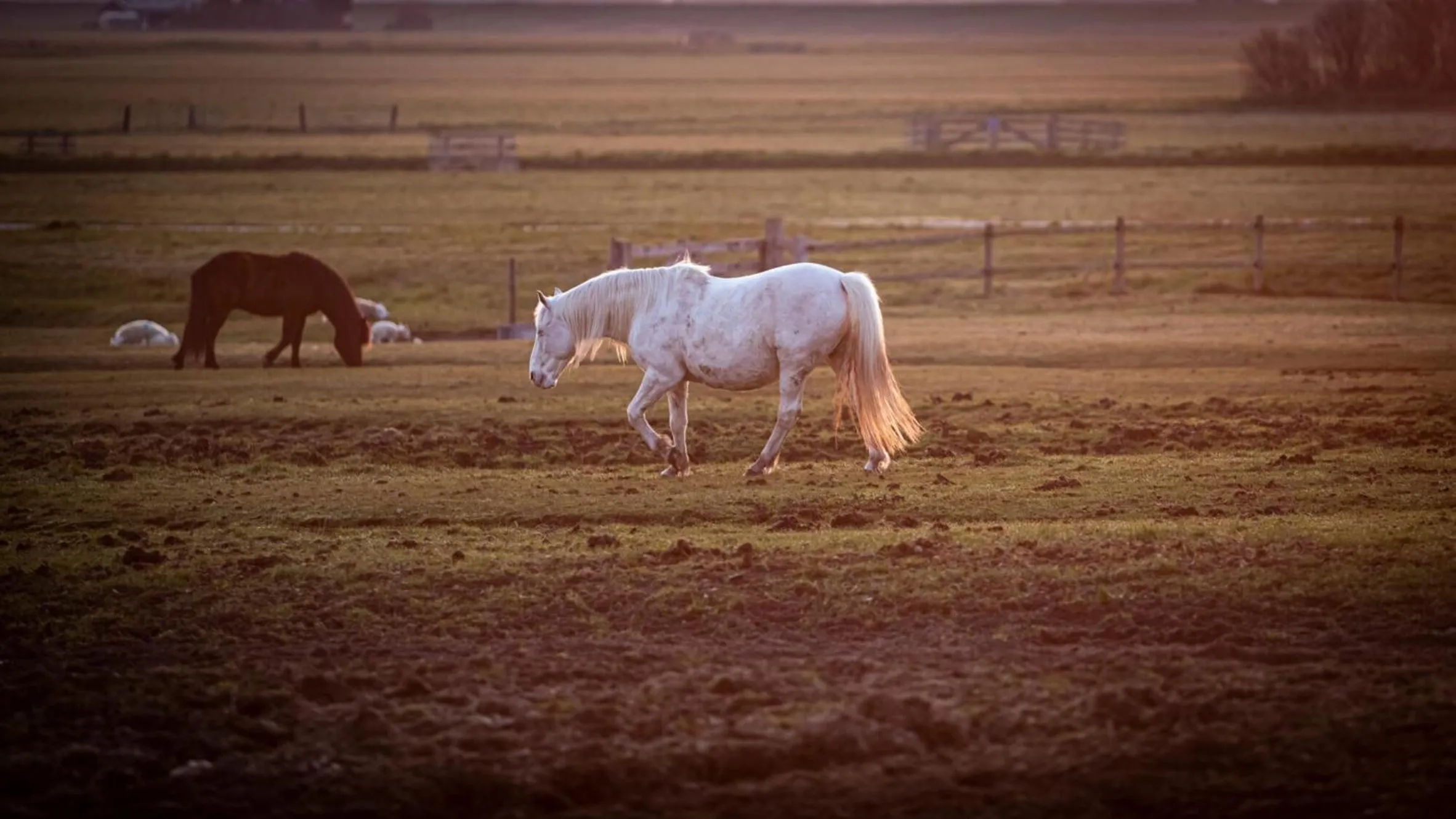 View (from property/room) in Strandhotel Camperduin