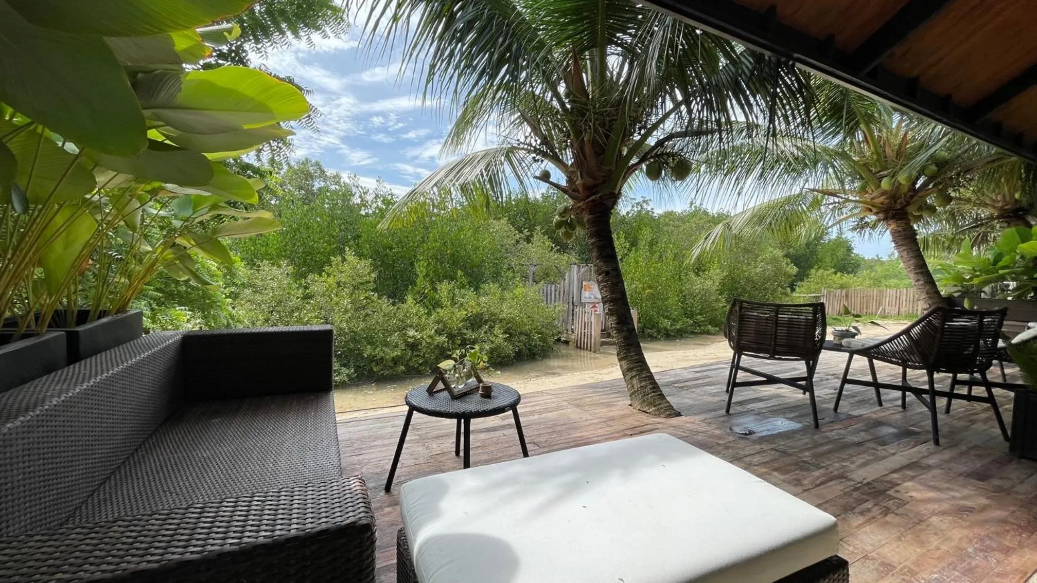 Natural landscape in Ariella Mangrove & Eco Resort by Hiverooms