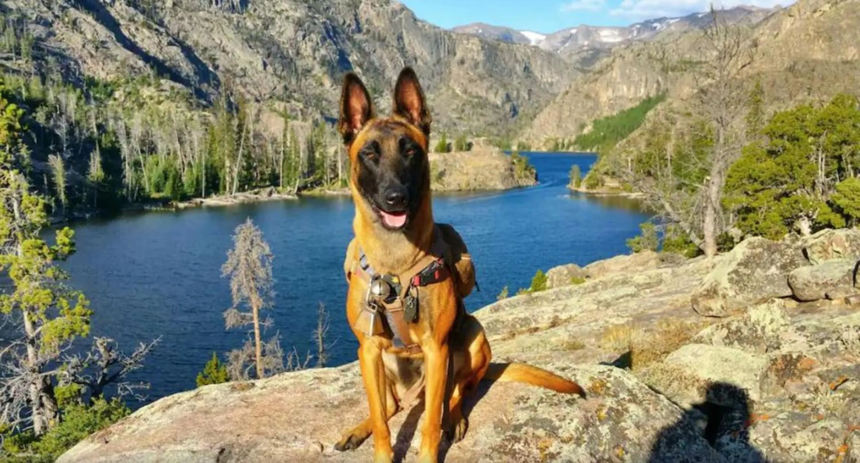 Natural landscape in Chinook Winds Lodge