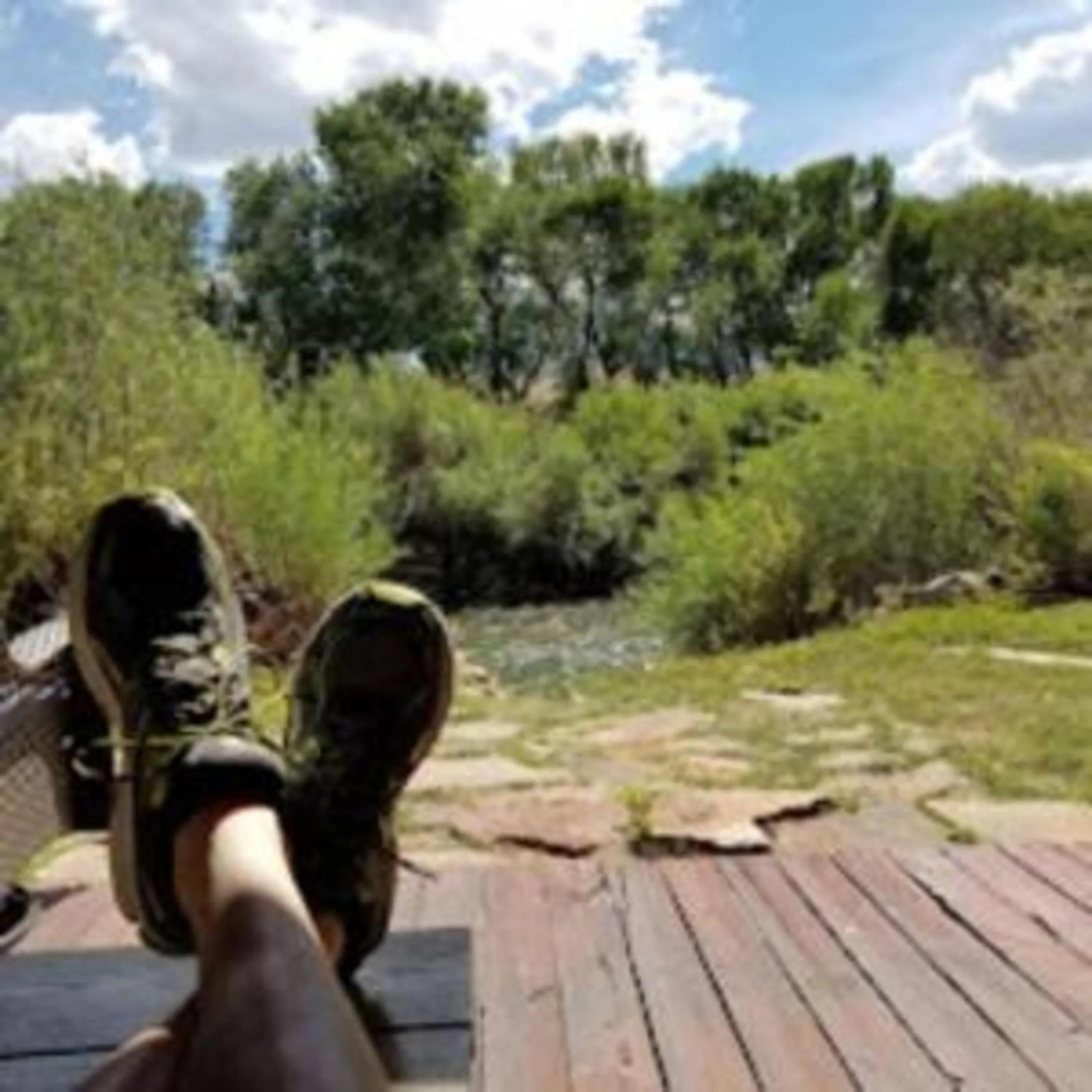 Natural landscape in Chinook Winds Lodge