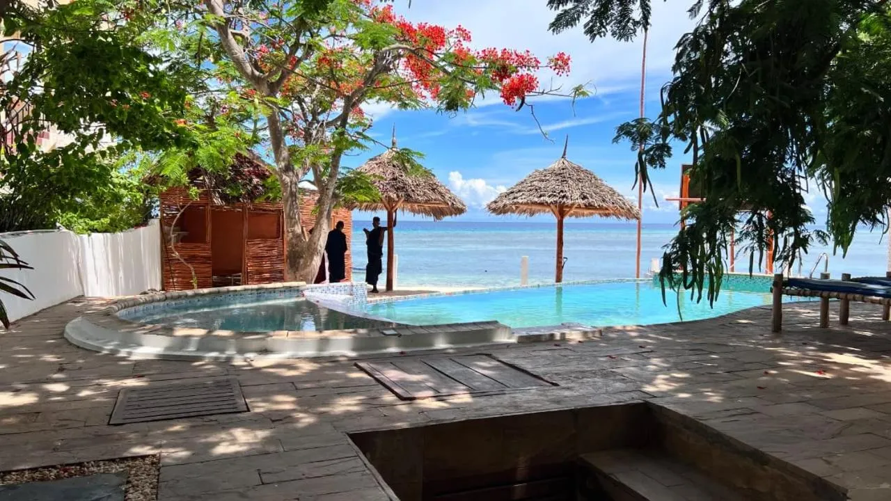 Natural landscape in Double A Nungwi Beach Hotel