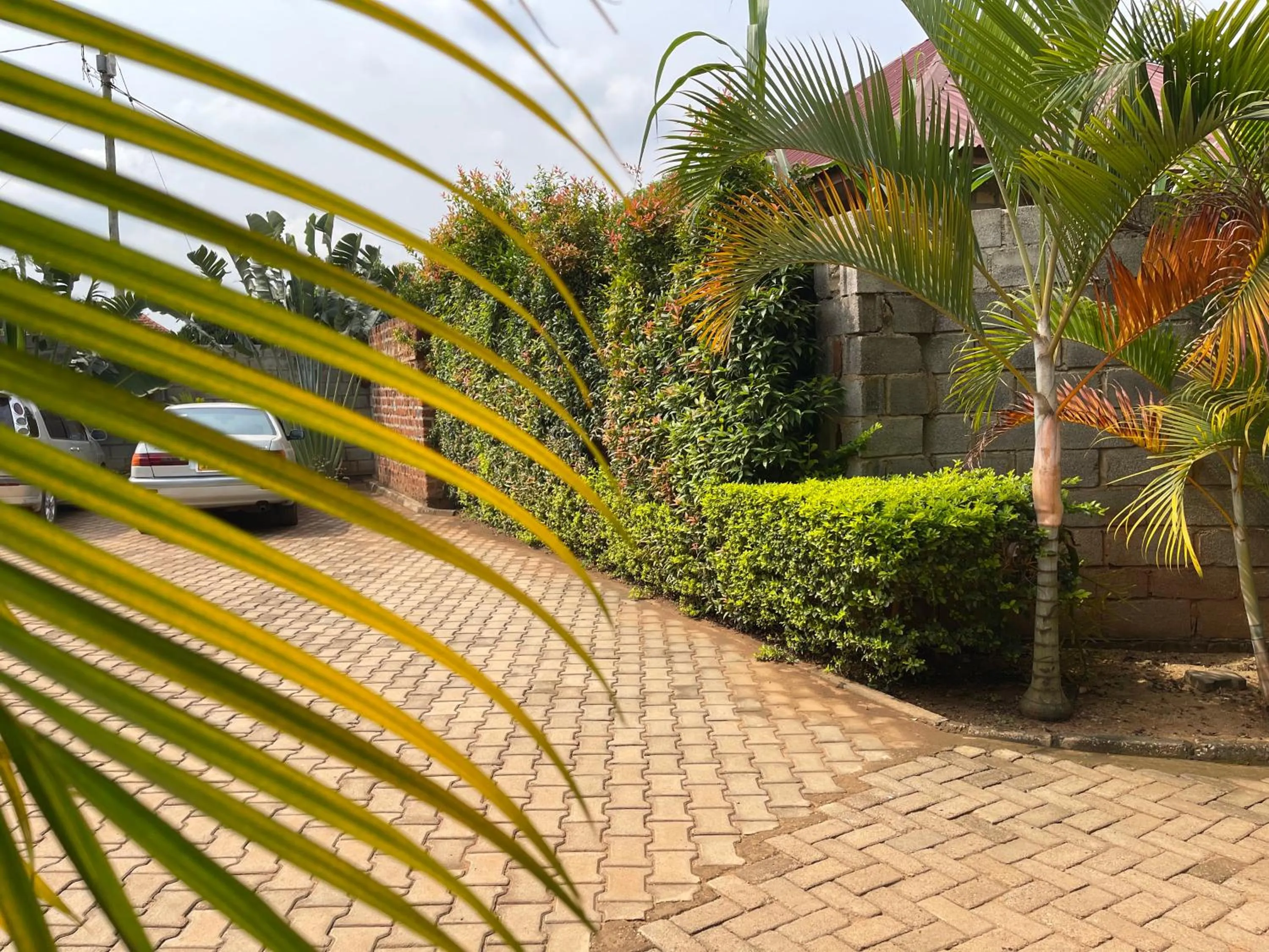 Day in Ashleys Hotel