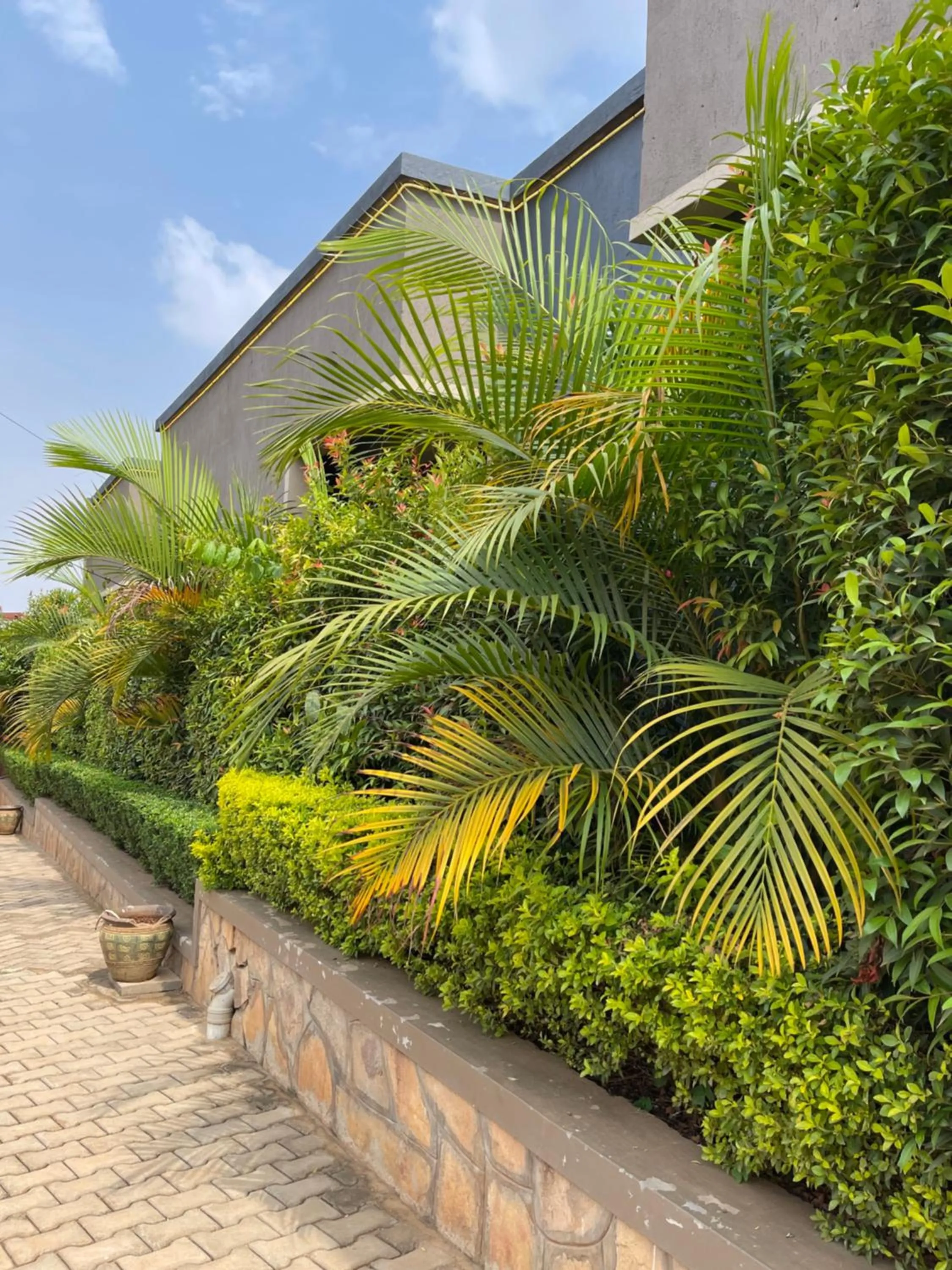 Day in Ashleys Hotel