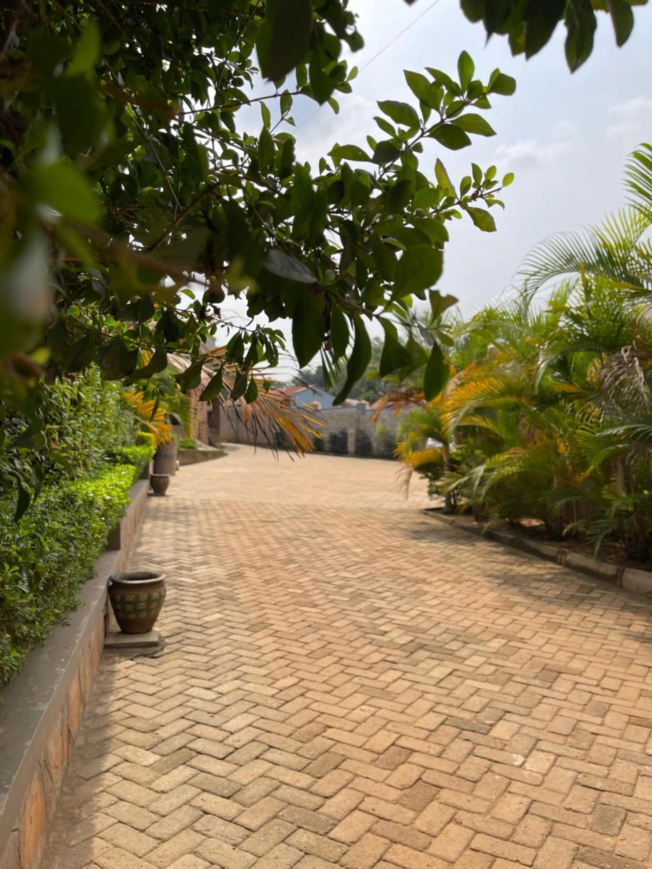 Day in Ashleys Hotel