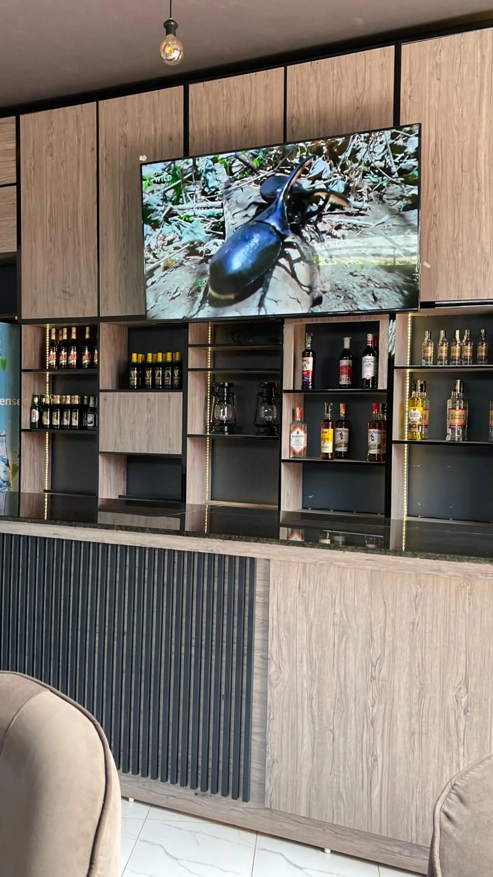 Lounge or bar in Ashleys Hotel