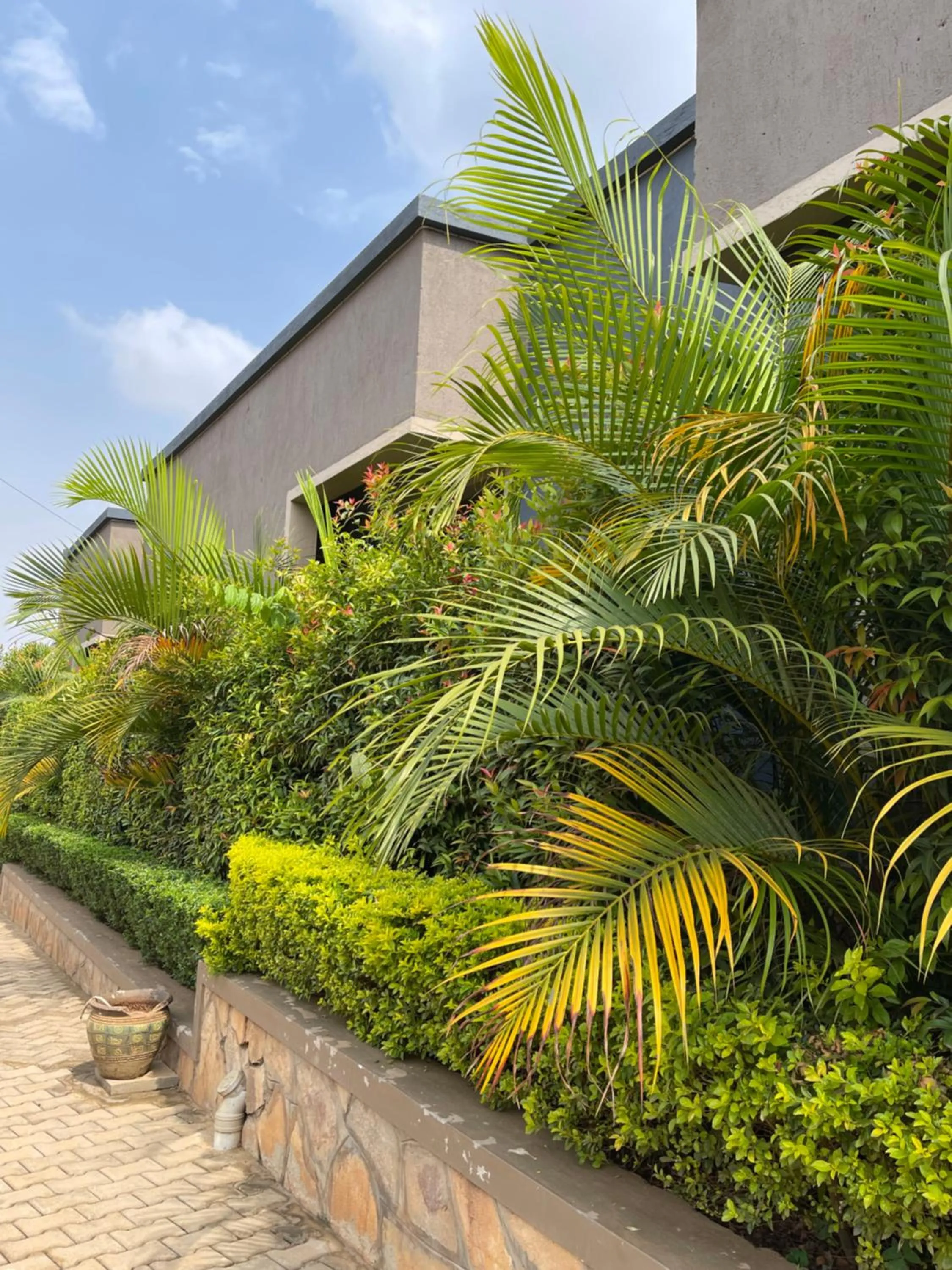 Day in Ashleys Hotel