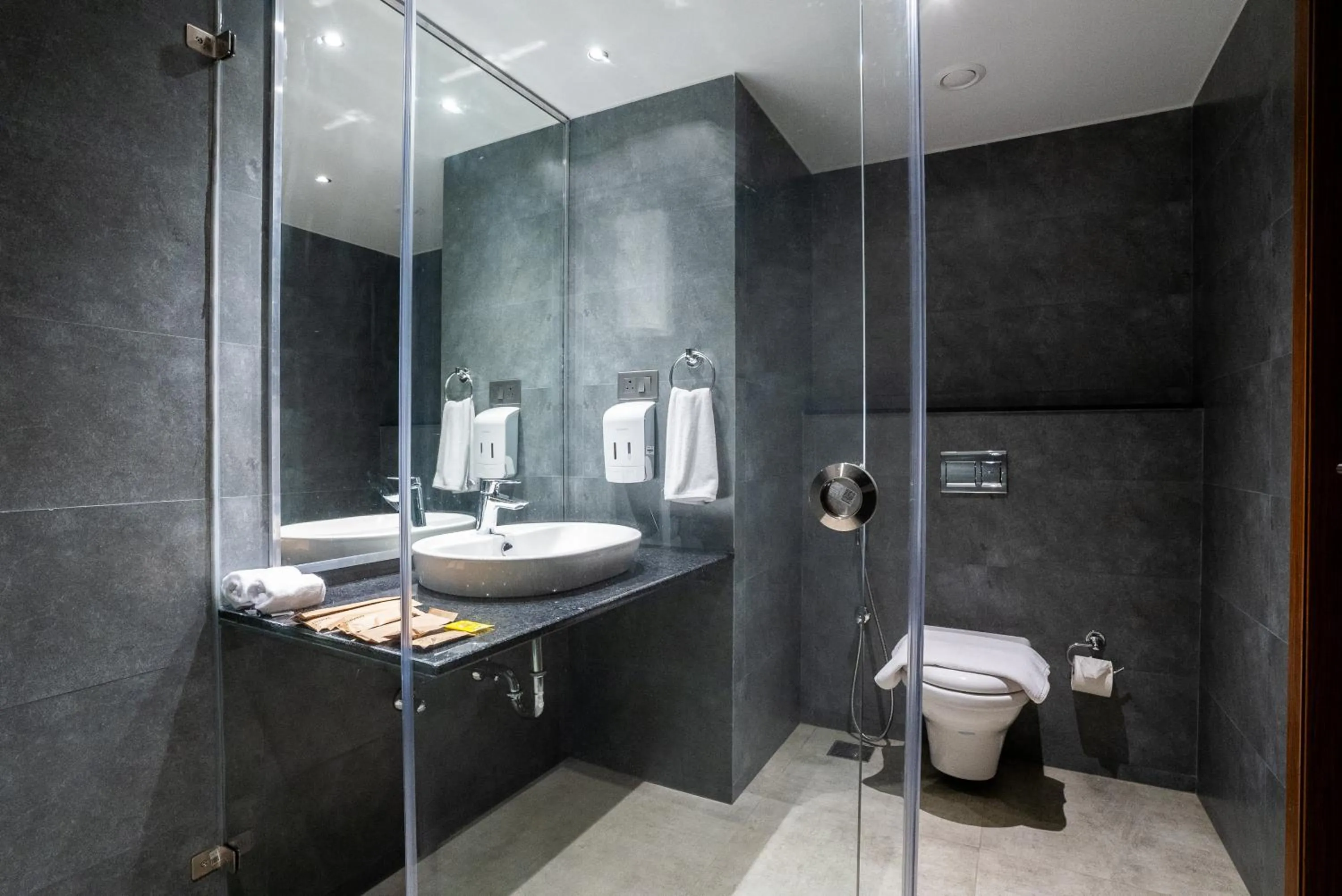 Toilet in Lilac Hotel Guruvayur