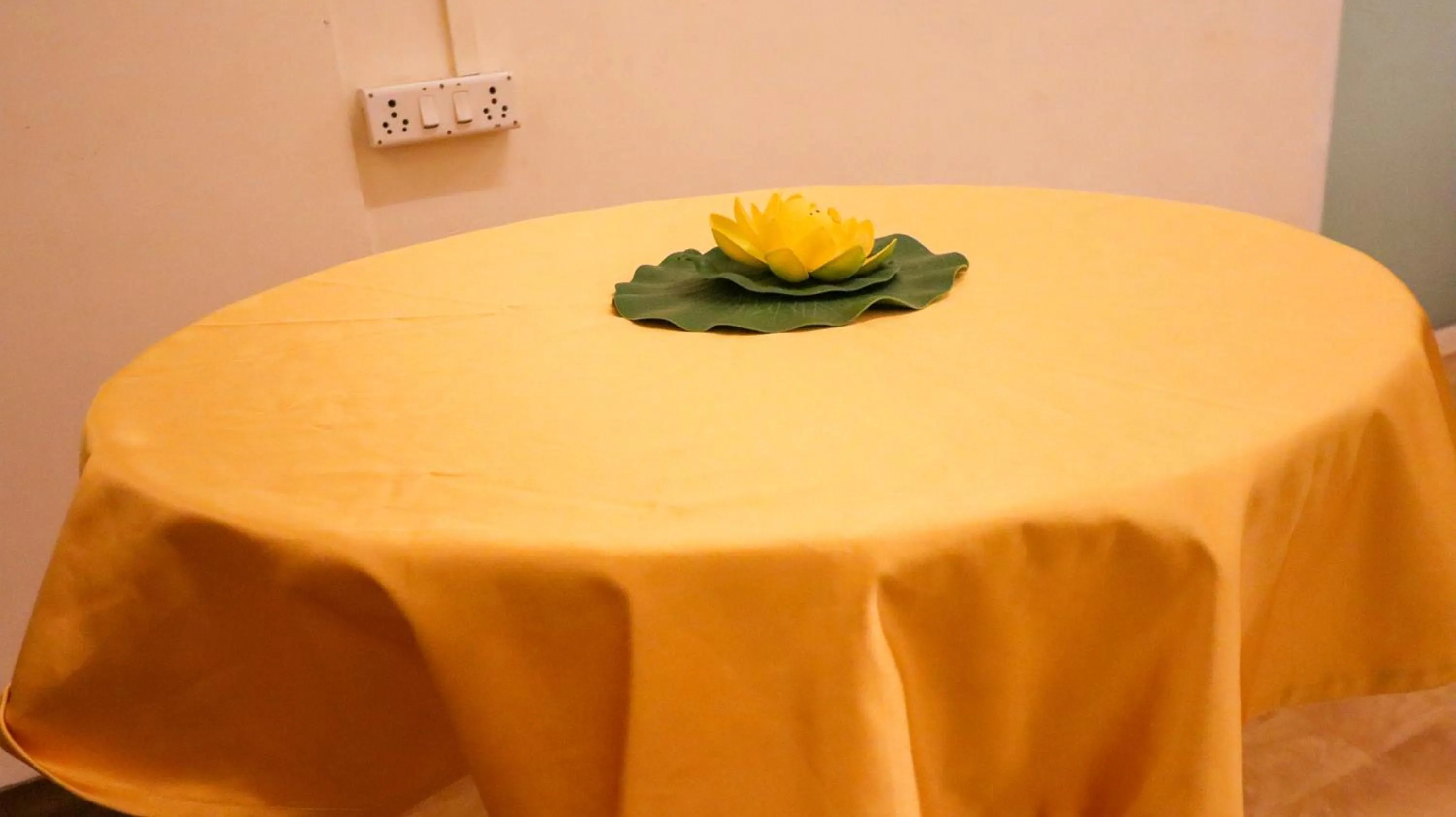 Banquet/Function facilities in Tuliip Residency