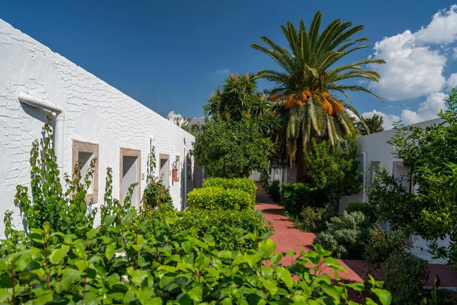 Spring in Le Hammamet Hôtel & Spa