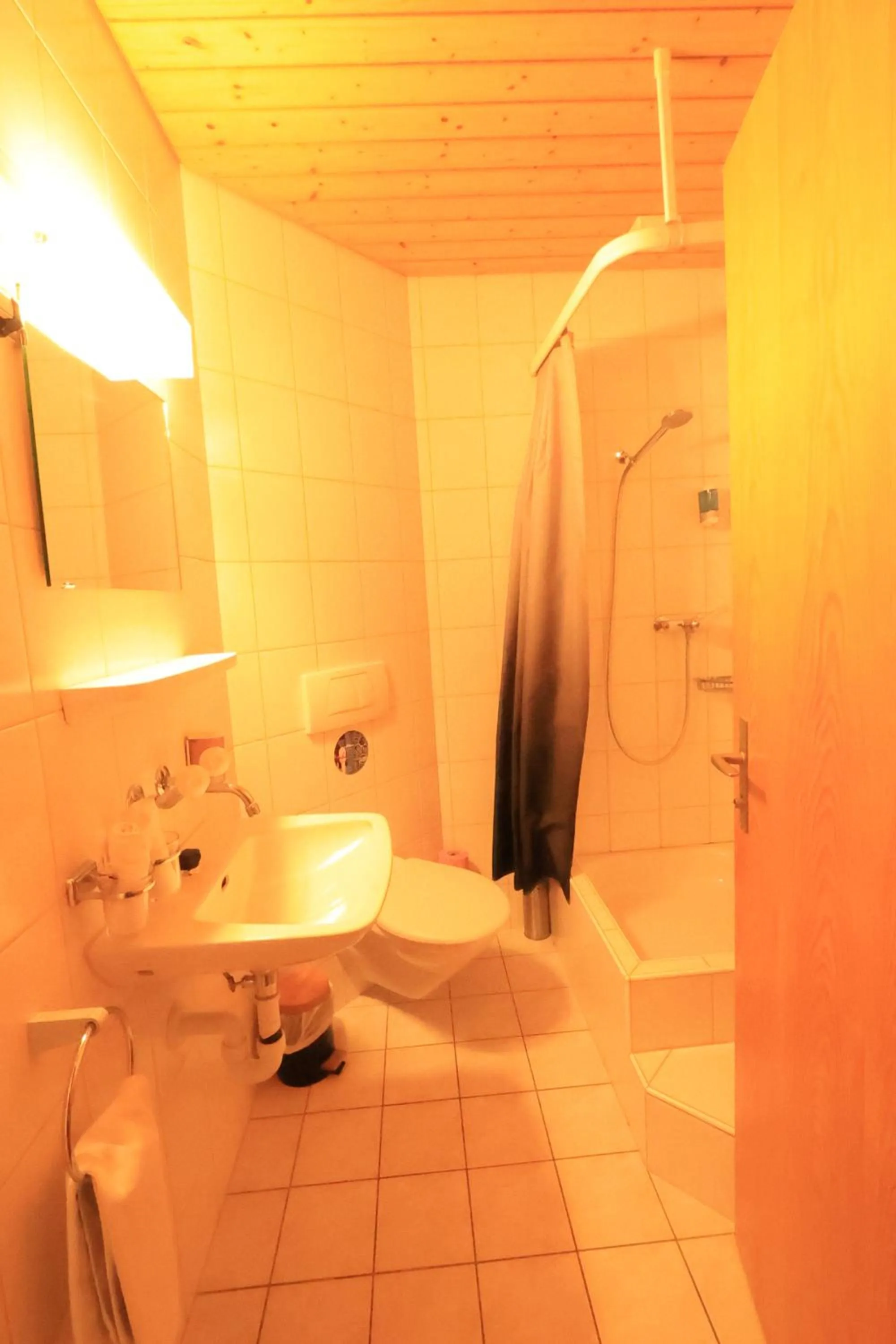 Hotel Wildbach Brienz