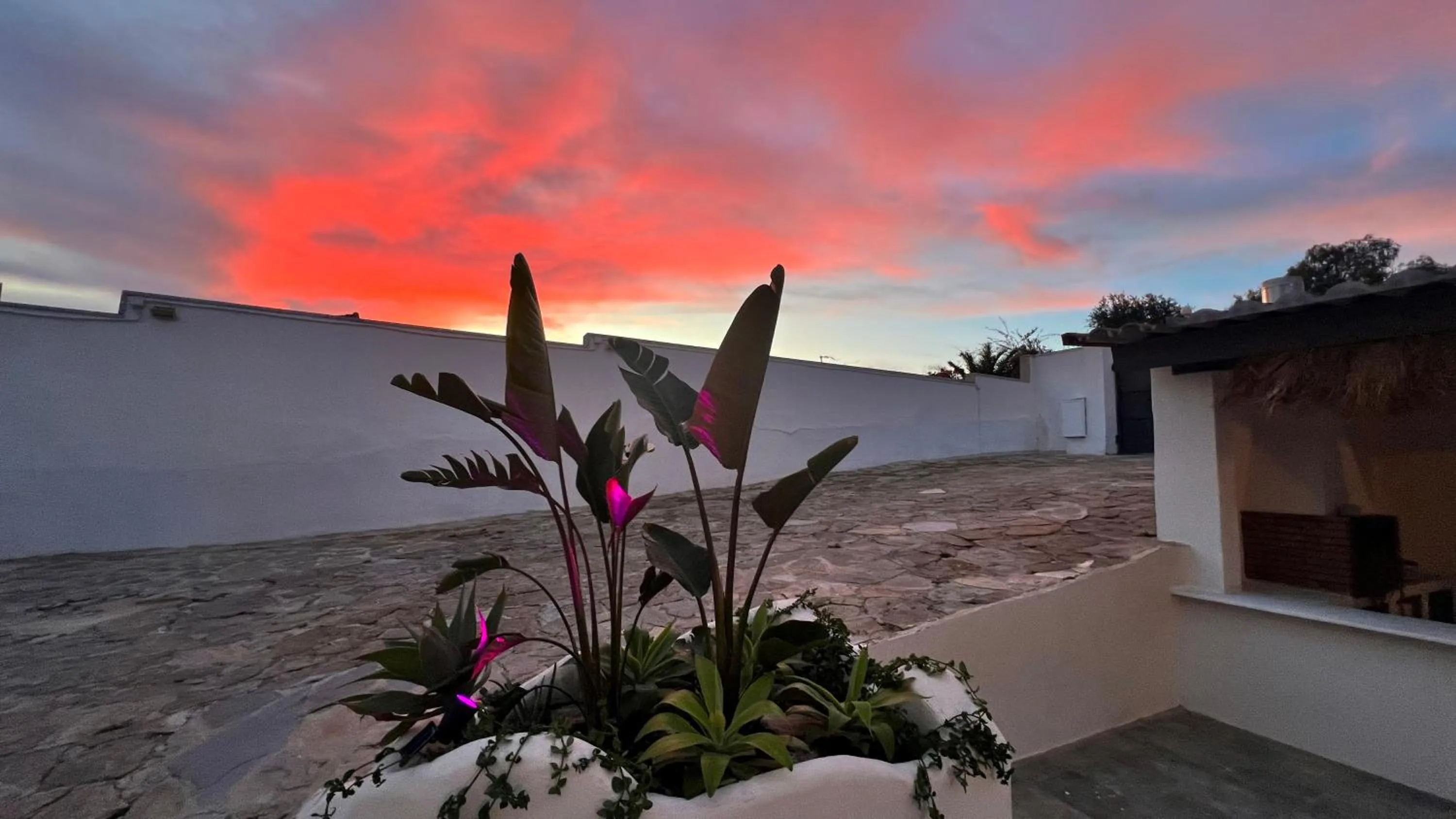 Day in Kiwidestiny Alicante