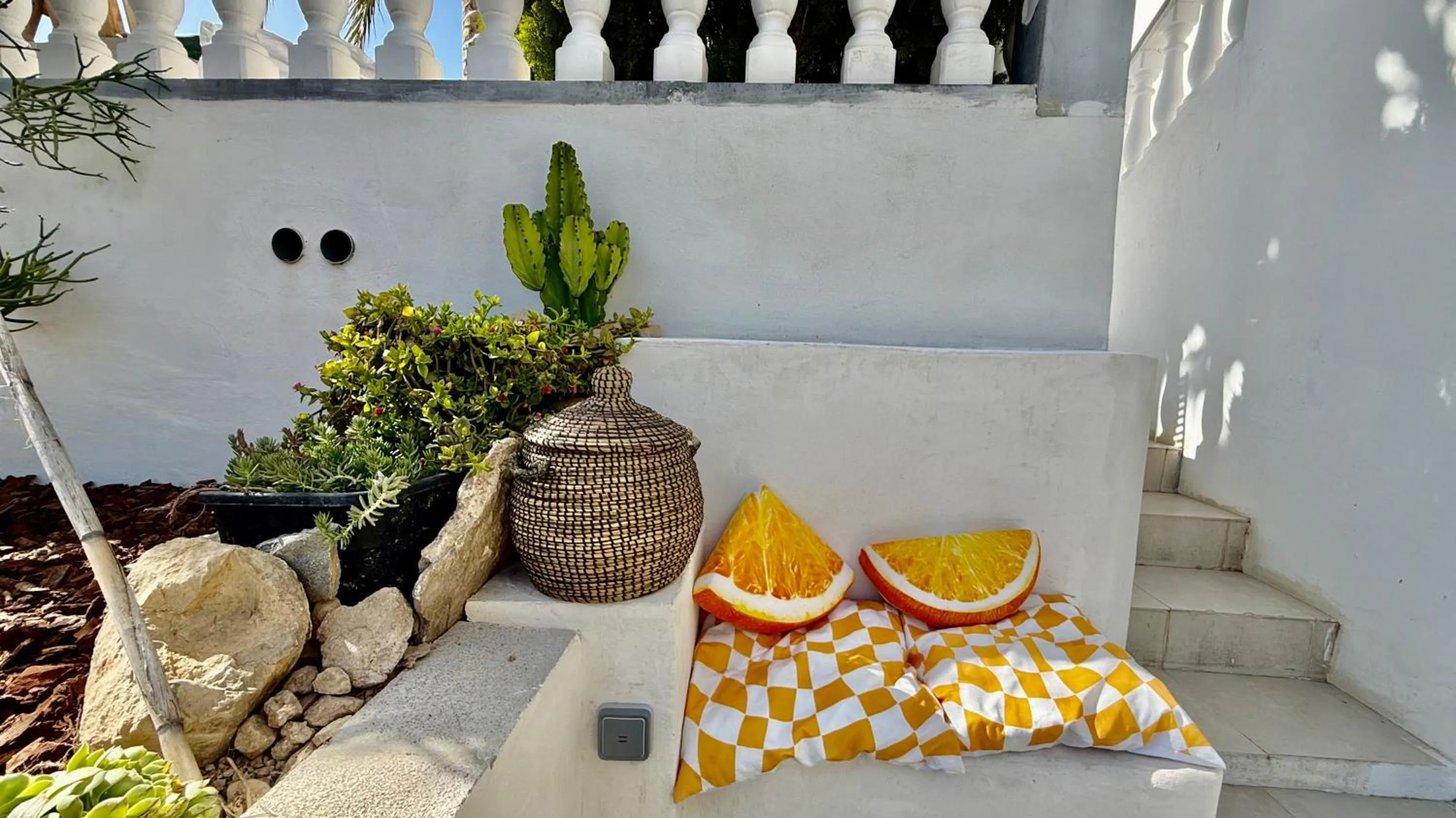 Patio in Kiwidestiny Alicante