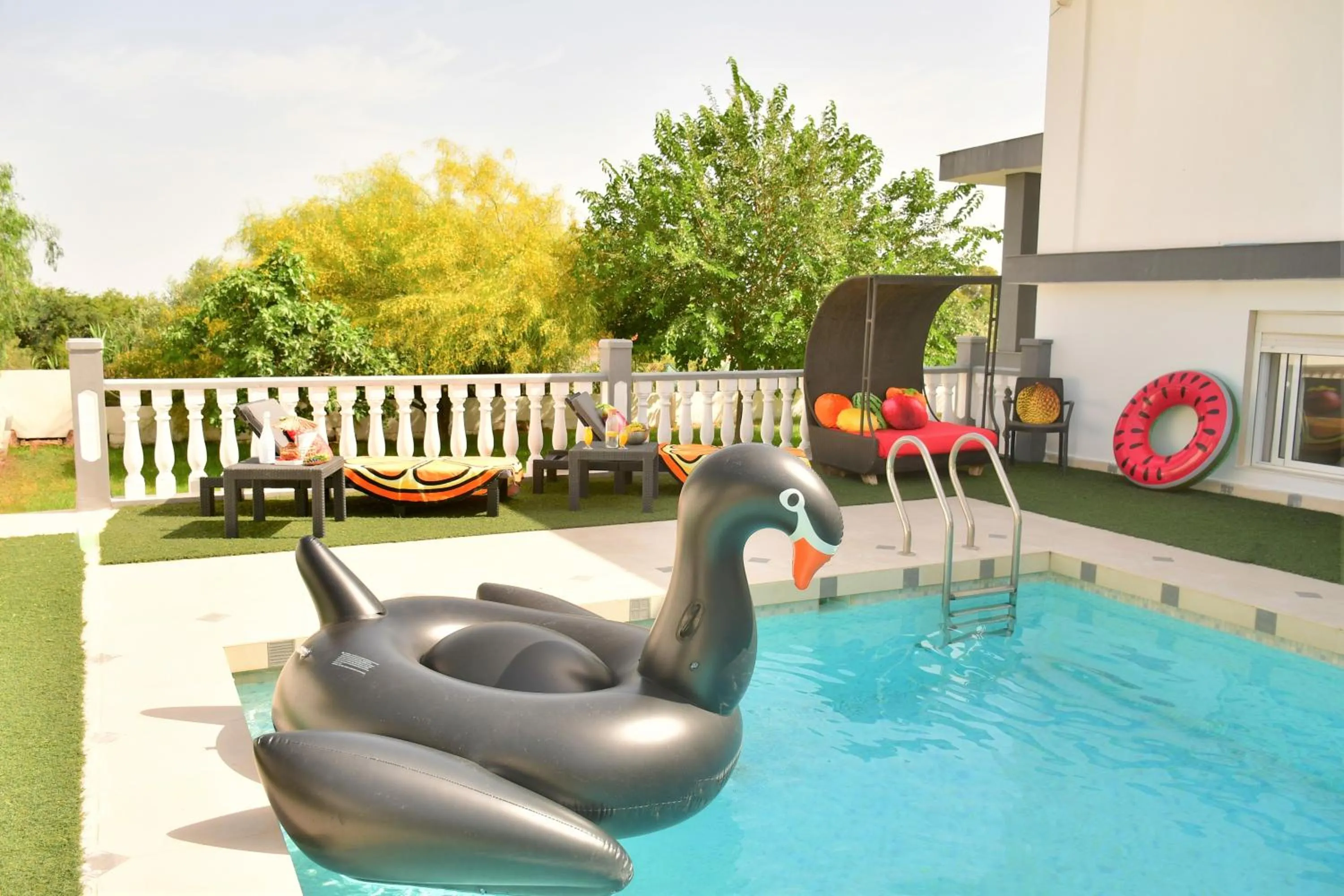 Swimming pool in Kiwidestiny Alicante