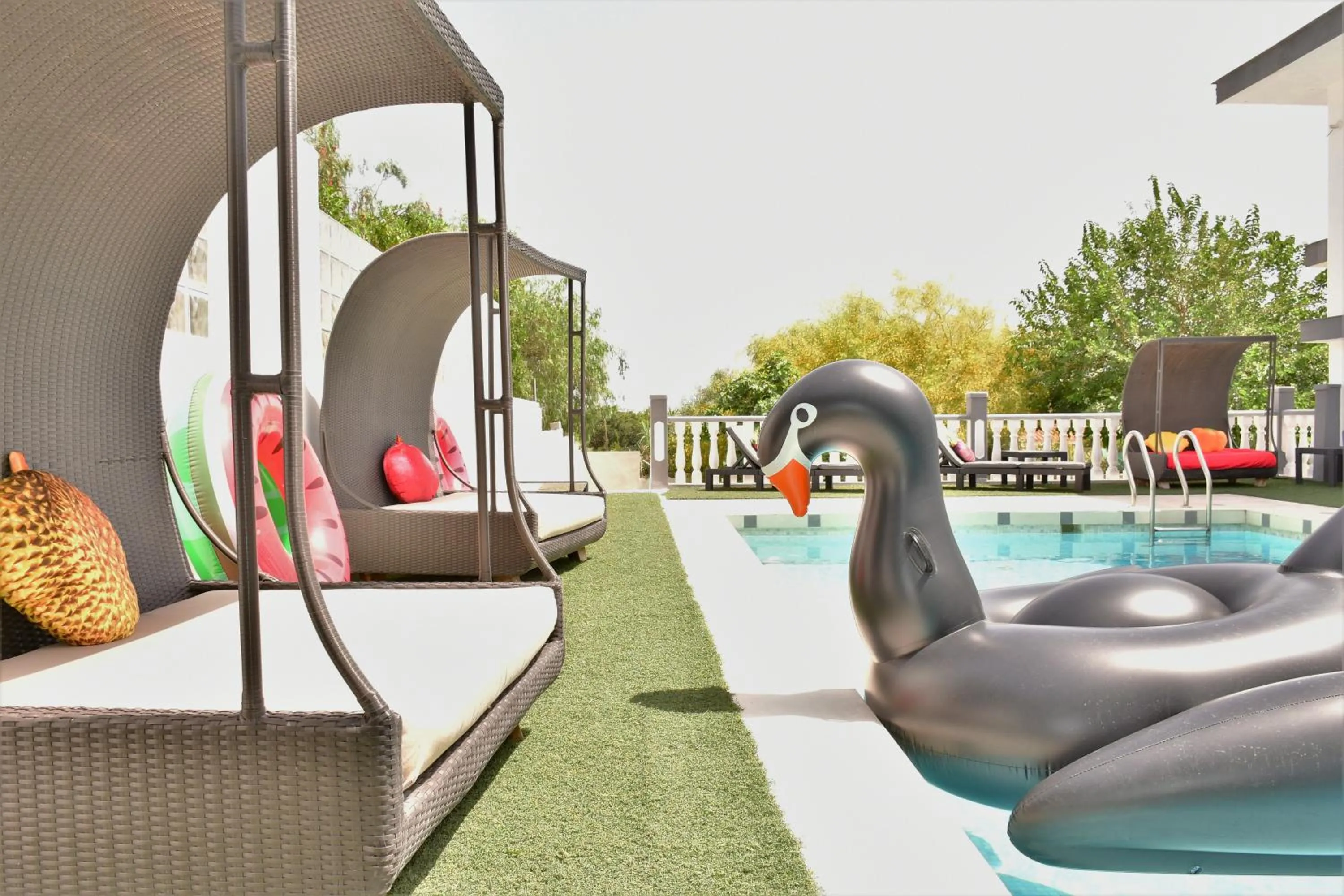 Day in Kiwidestiny Alicante