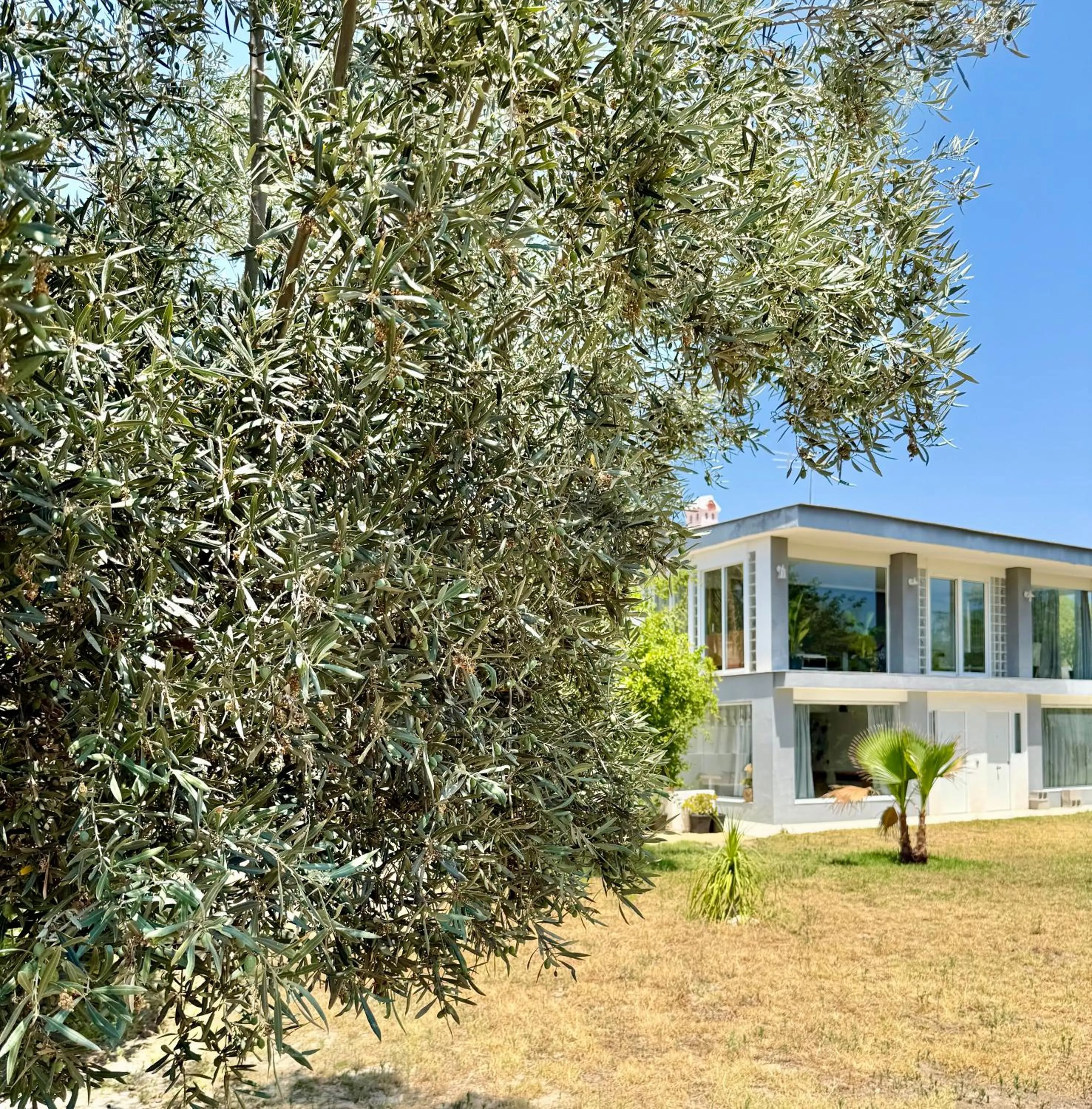 Garden in Kiwidestiny Alicante