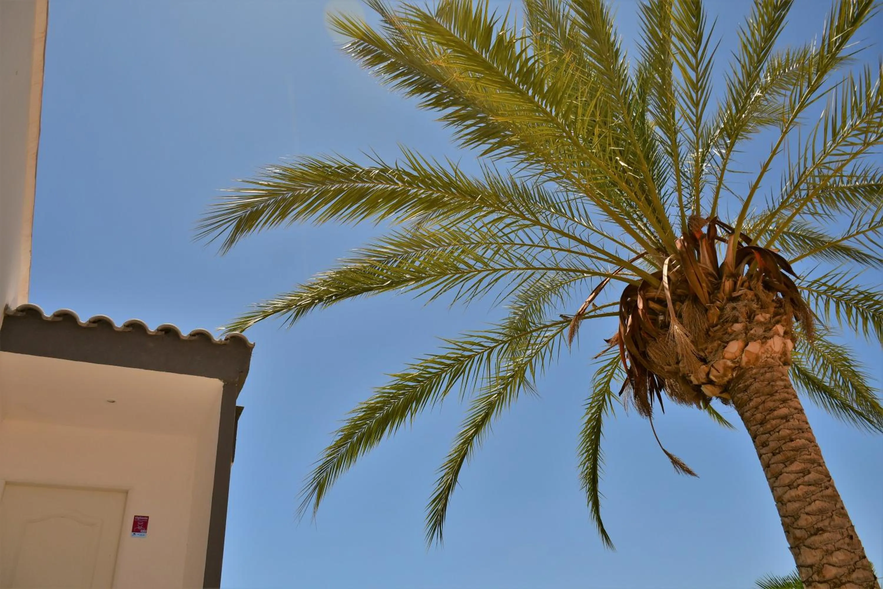 Property building in Kiwidestiny Alicante