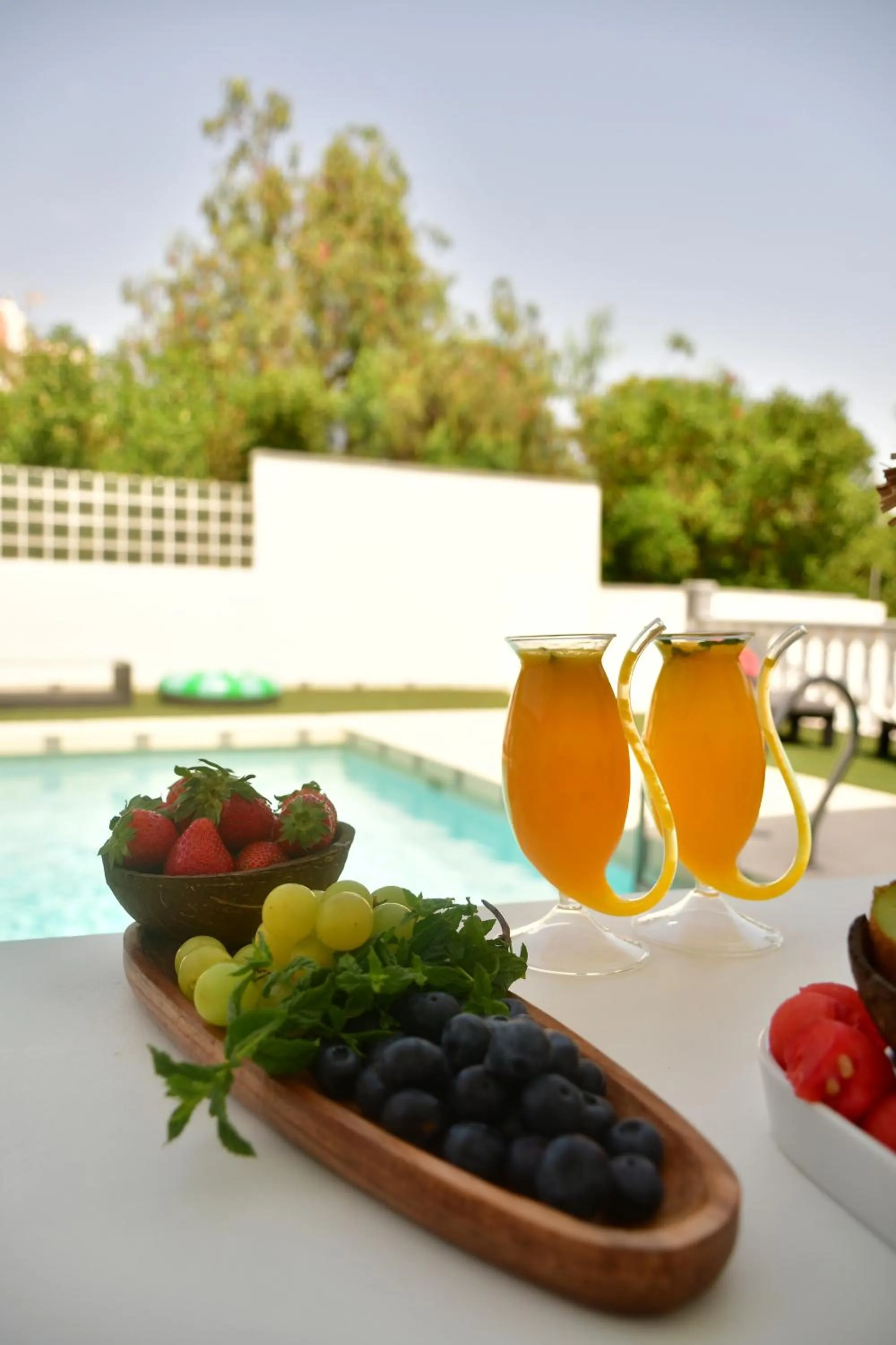 Day in Kiwidestiny Alicante