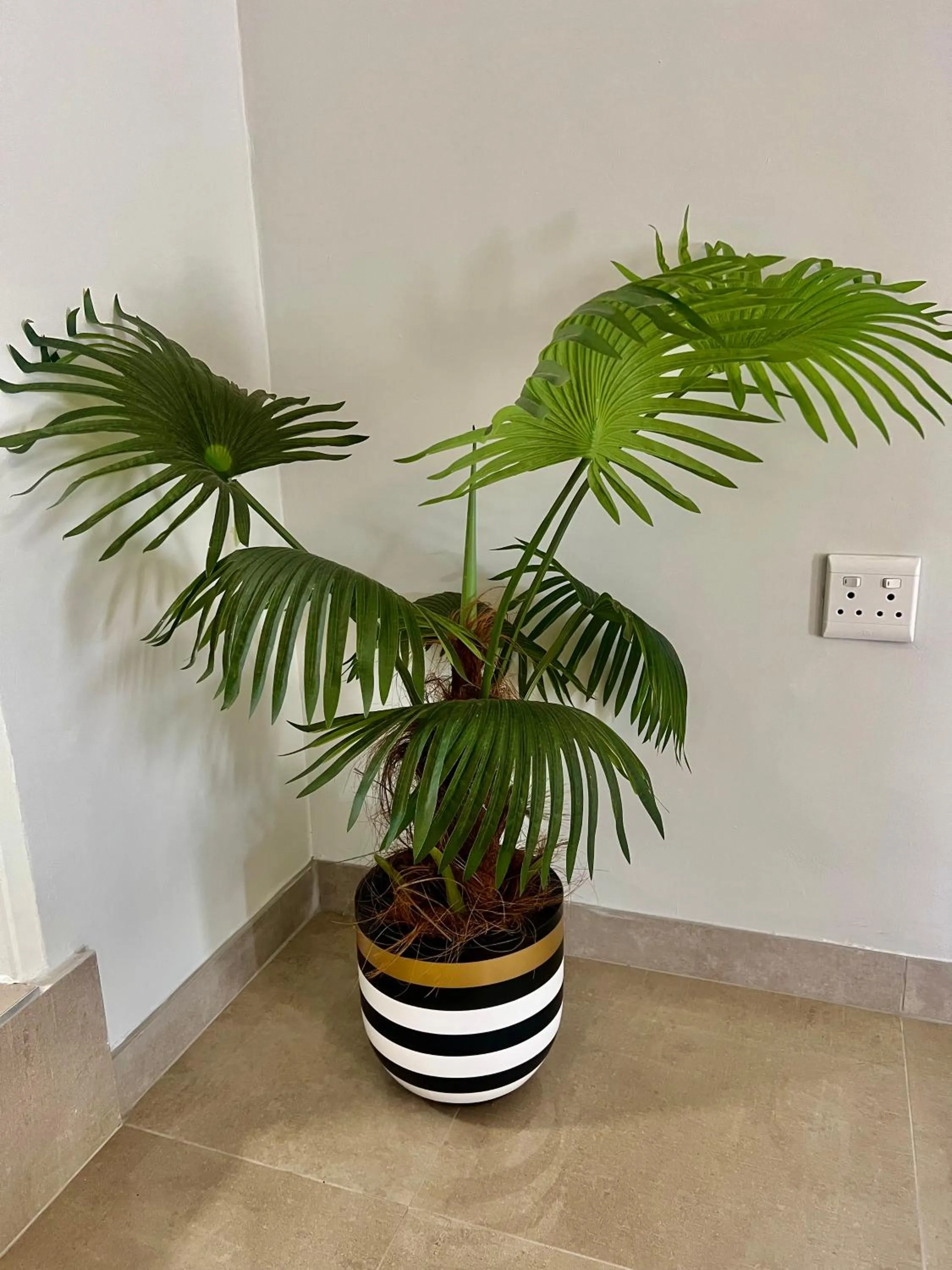 435 on vale boutique aparthotel