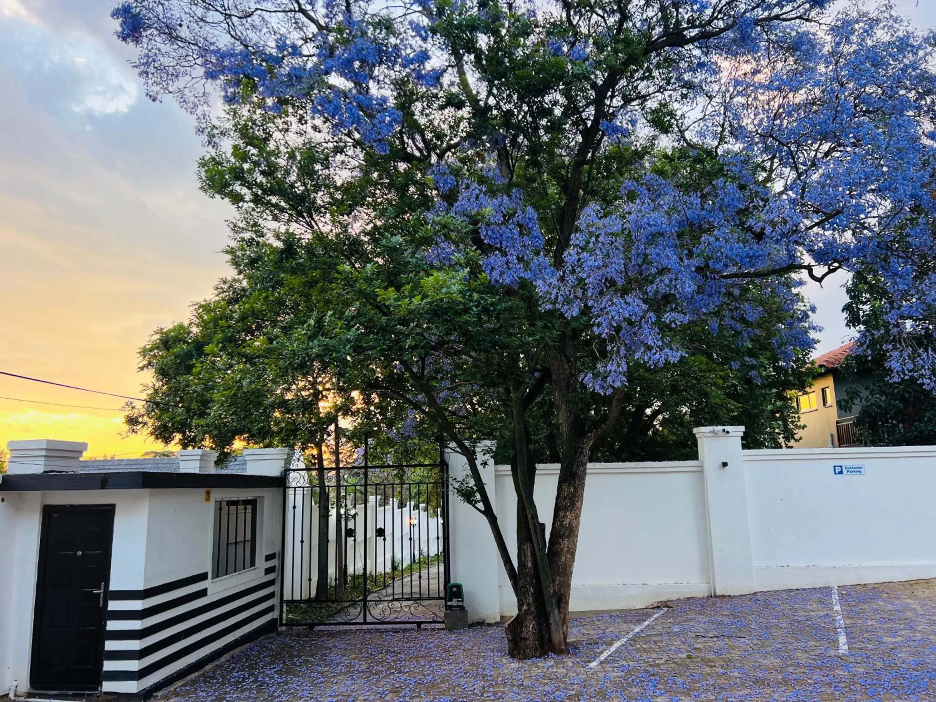 435 on vale boutique aparthotel