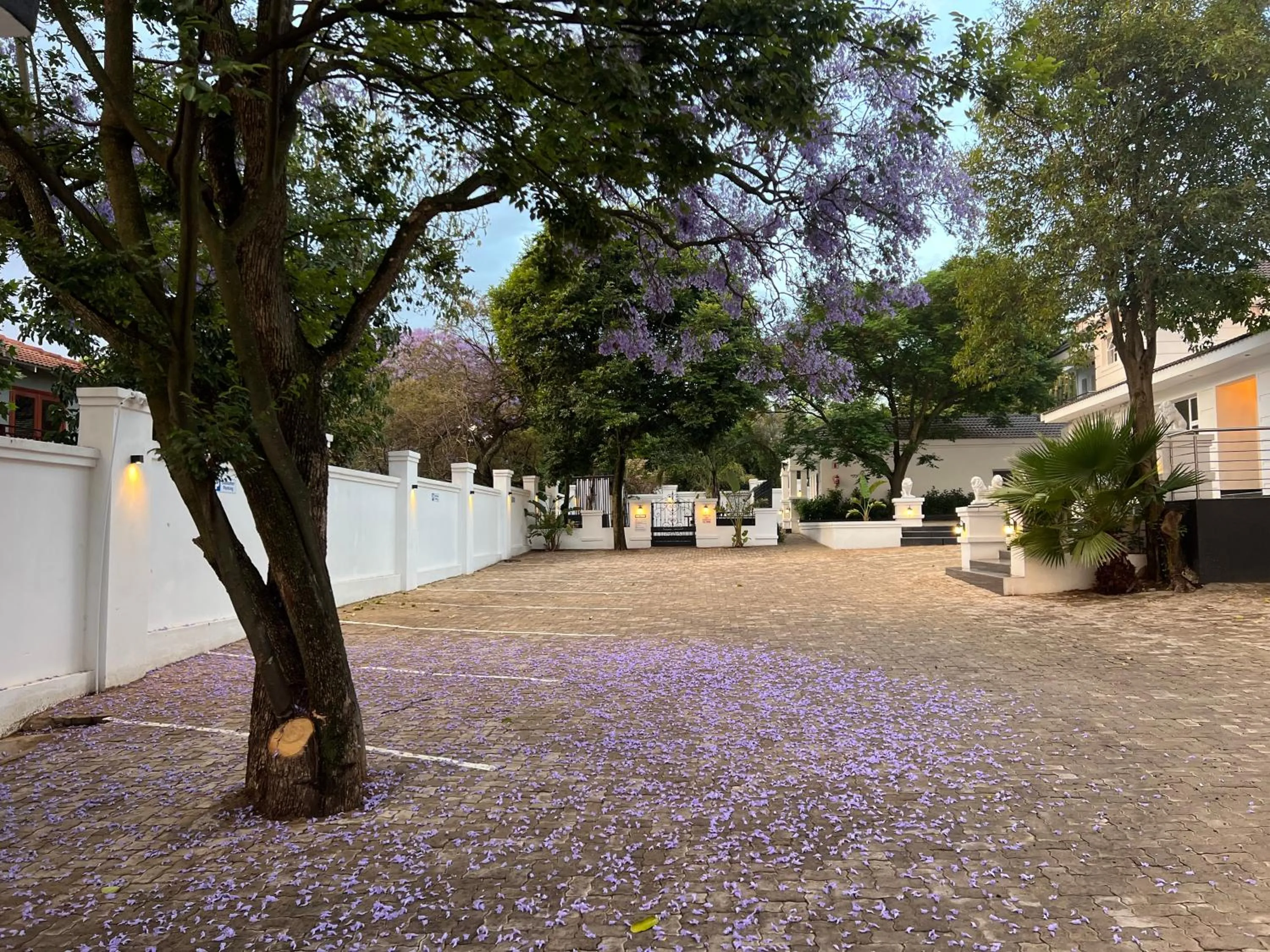 435 on vale boutique aparthotel