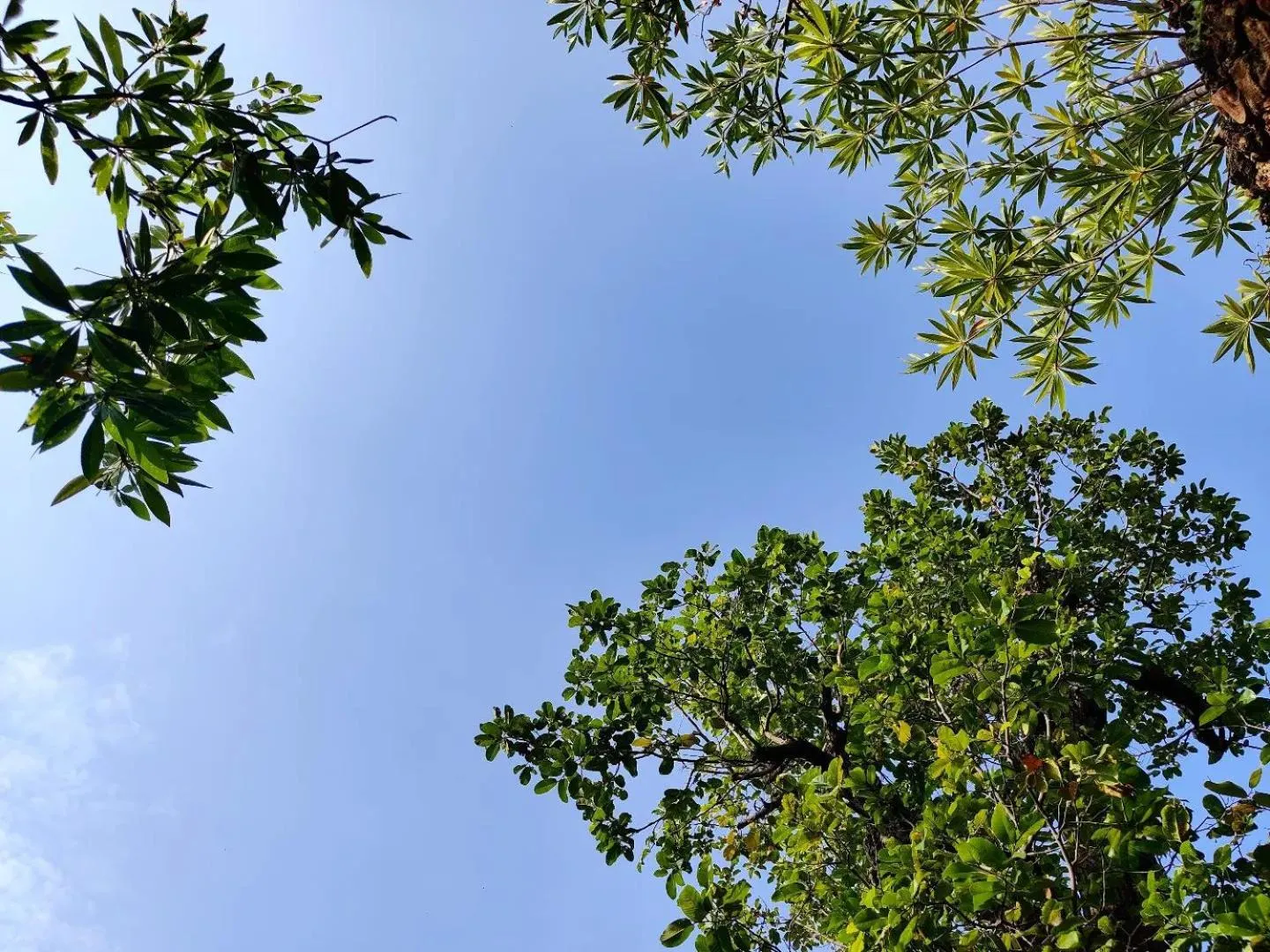 Spring in Rarin Villas