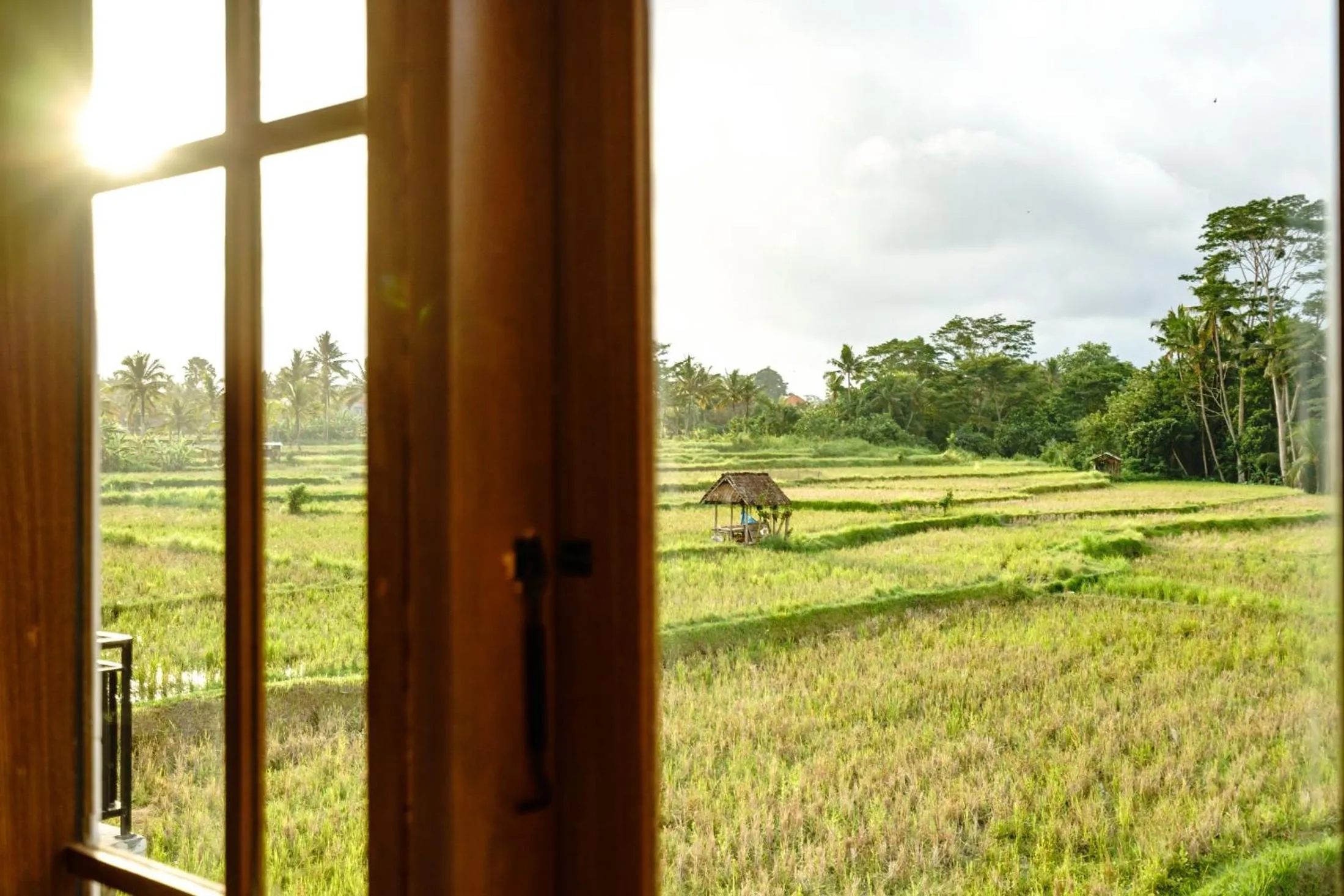 Natural landscape in Tembaga Garden Retreat - Privacy and Modern Comfort