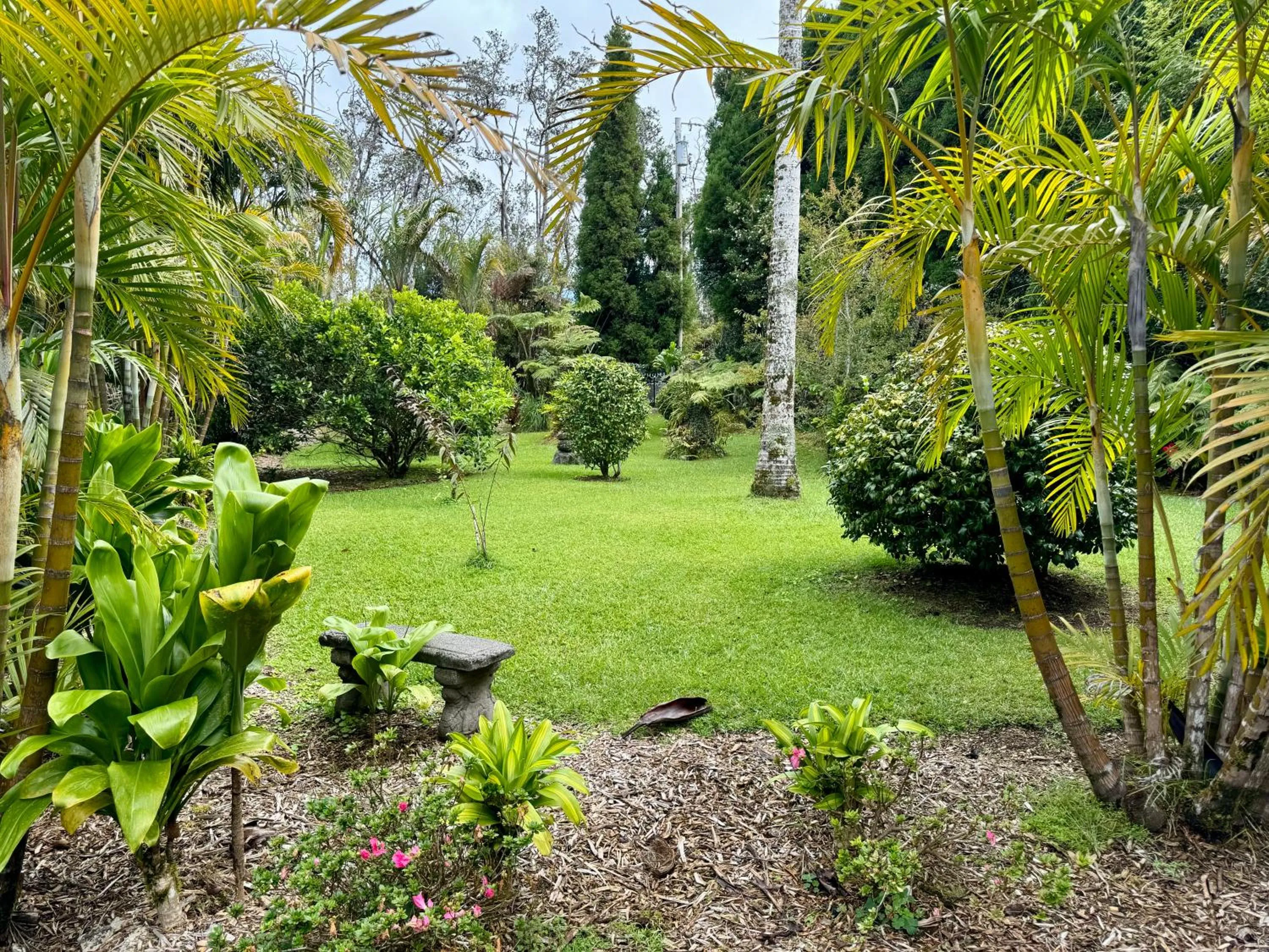 Aloha Junction Bed and Breakfast -Minutes away from Hawaii Volcanoes National Park