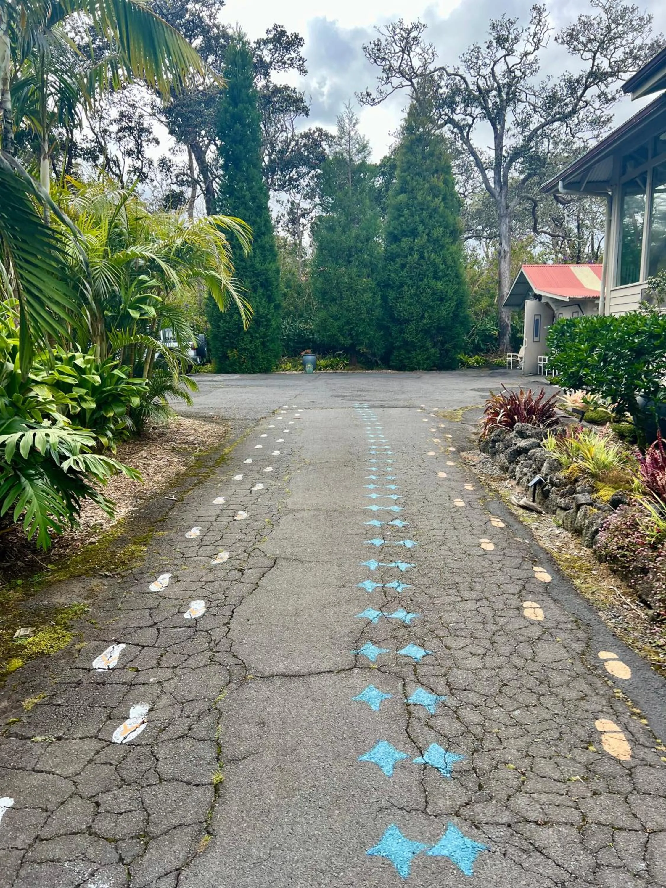 Patio in Aloha Junction Bed and Breakfast -Minutes away from Hawaii Volcanoes National Park