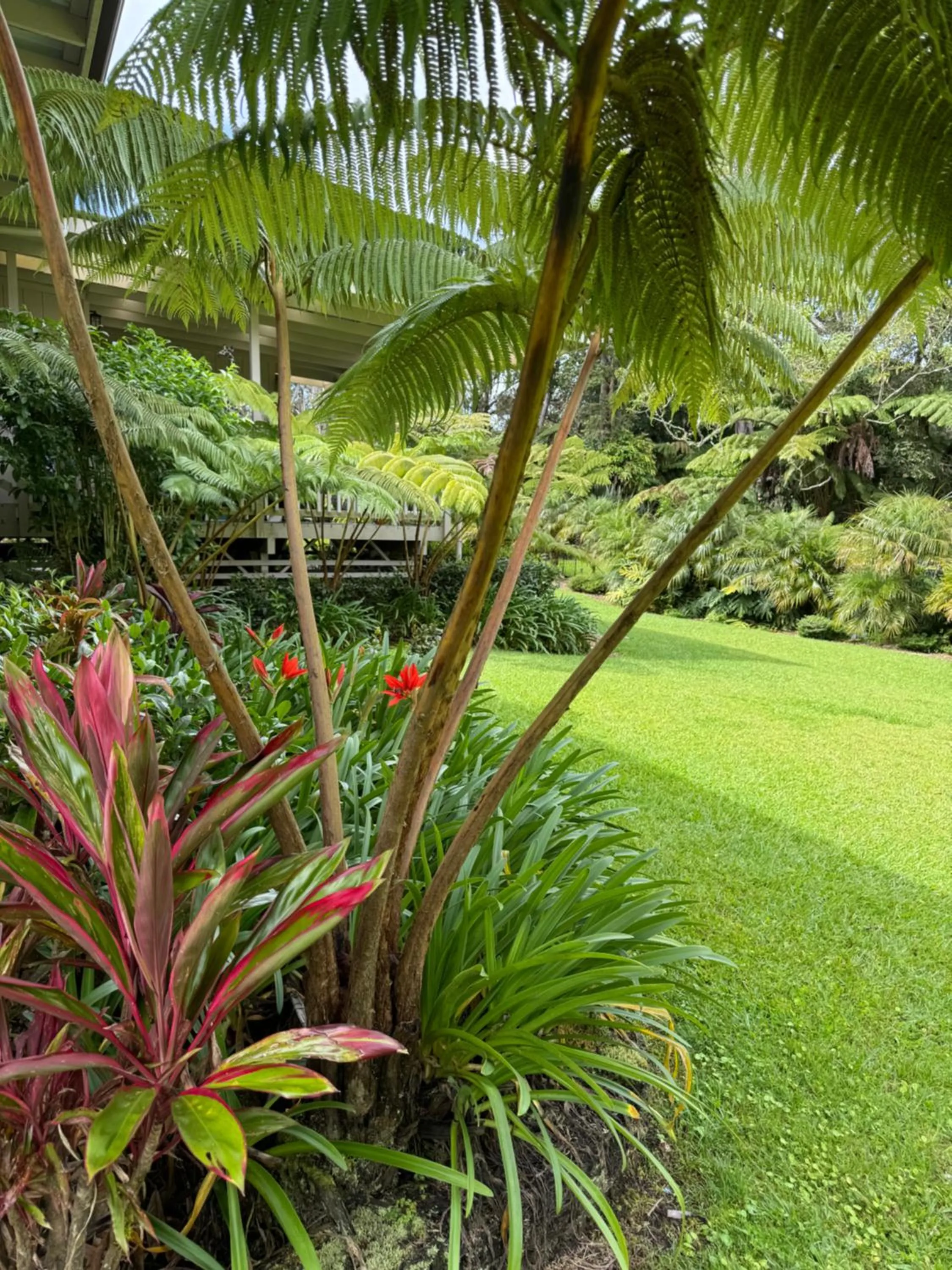 Aloha Junction Bed and Breakfast -Minutes away from Hawaii Volcanoes National Park