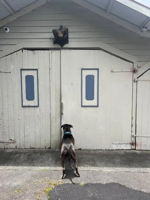 Aloha Junction Bed and Breakfast -Minutes away from Hawaii Volcanoes National Park