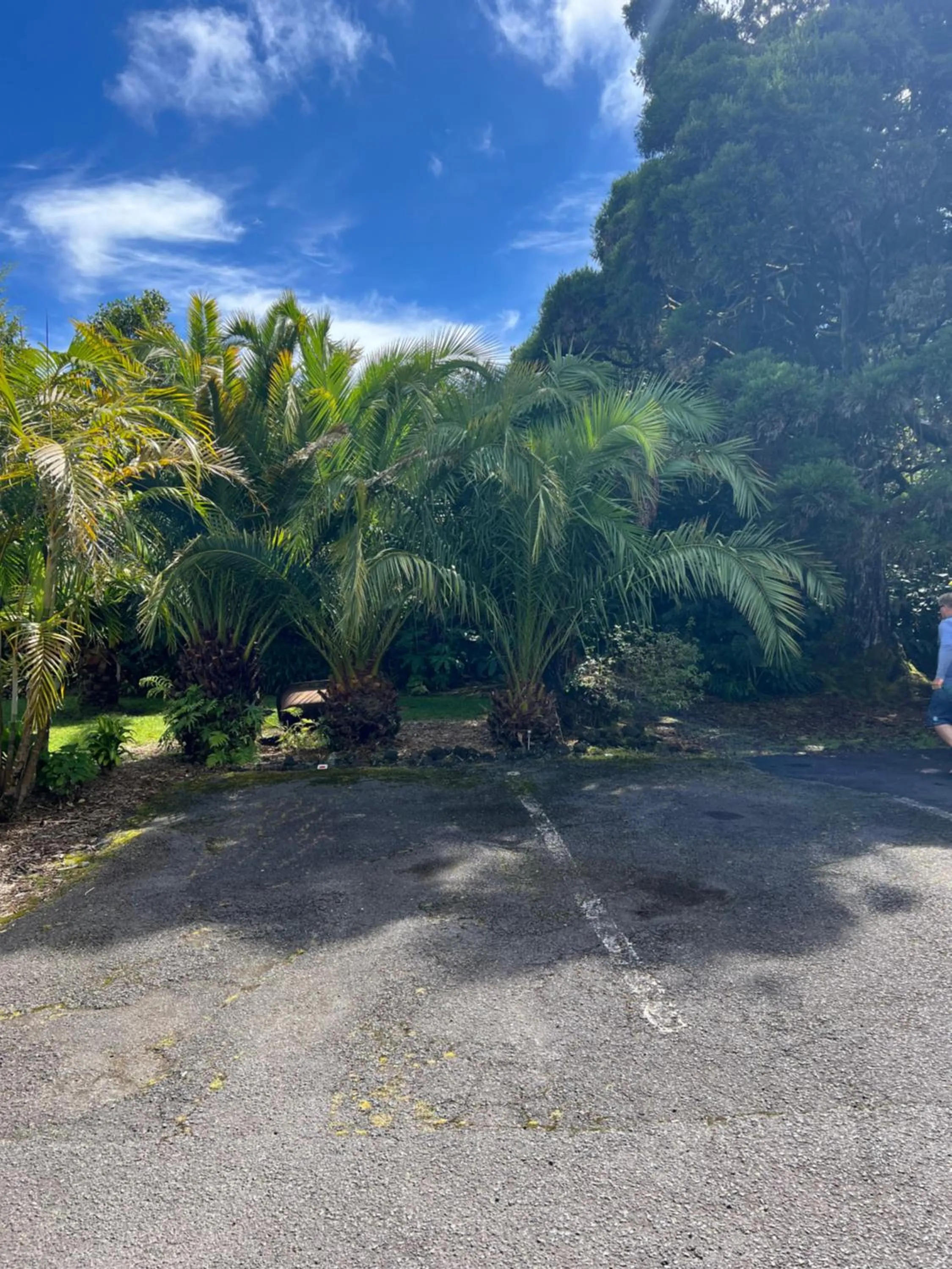 Aloha Junction Bed and Breakfast -Minutes away from Hawaii Volcanoes National Park