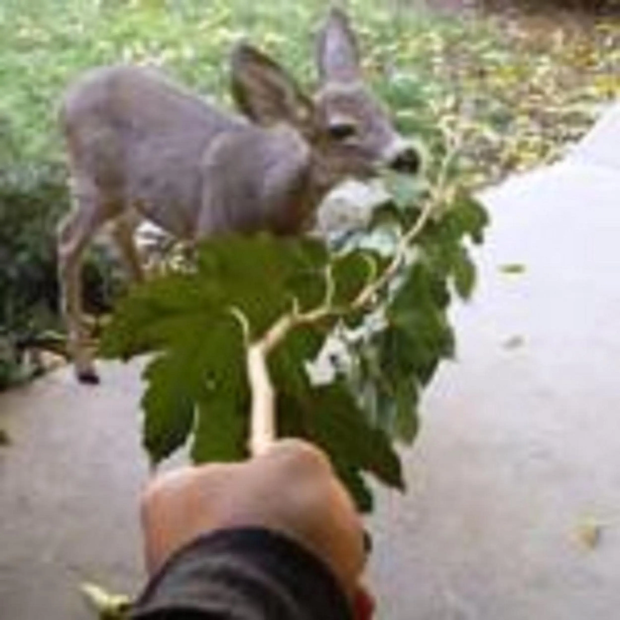 Facade/entrance in The River Inn