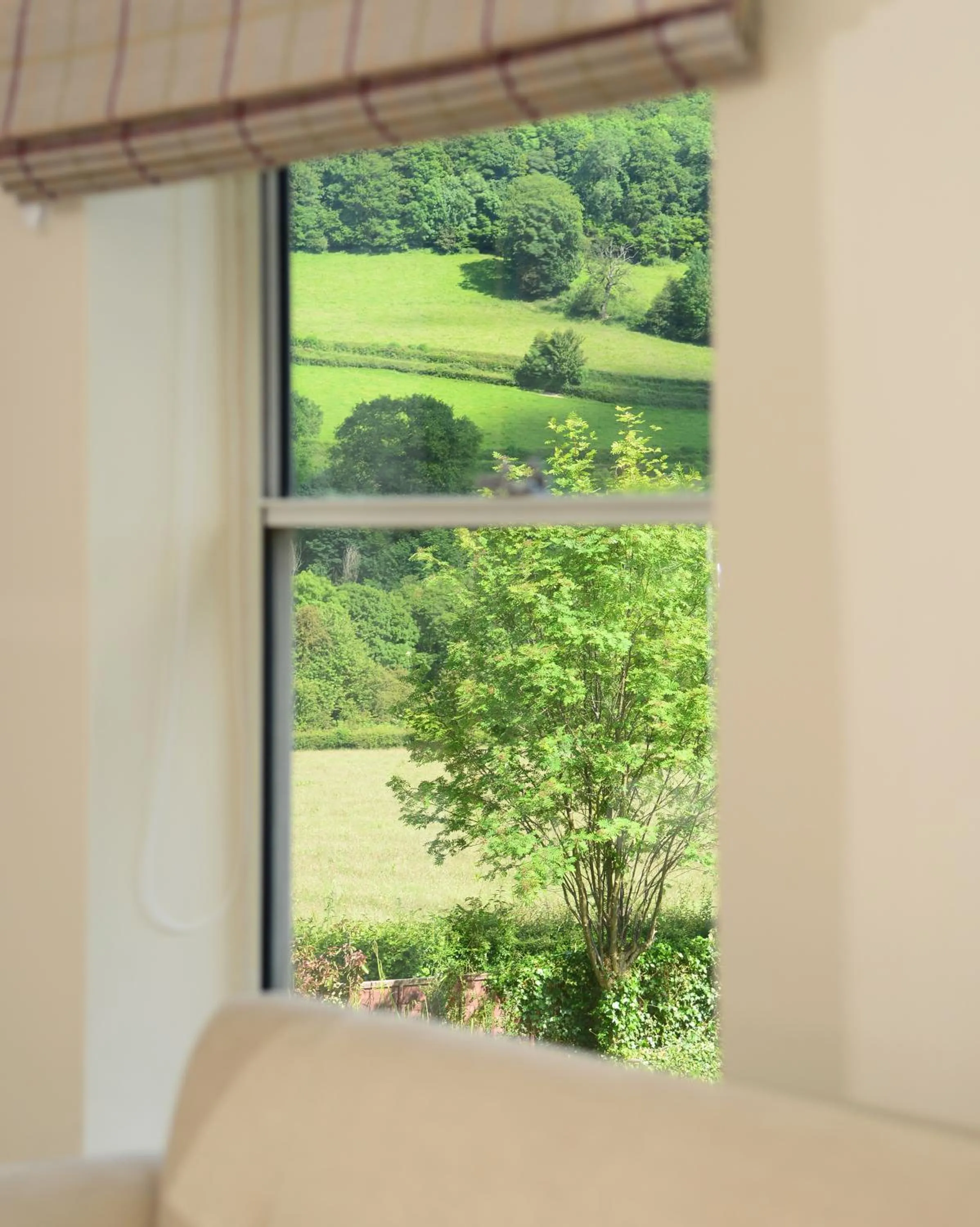 Garden view in The Mulberry Inn