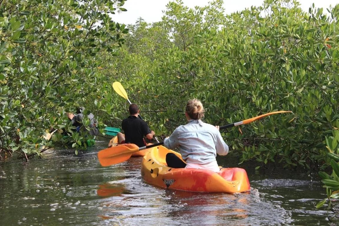Activities in Résidence Le Marlodj
