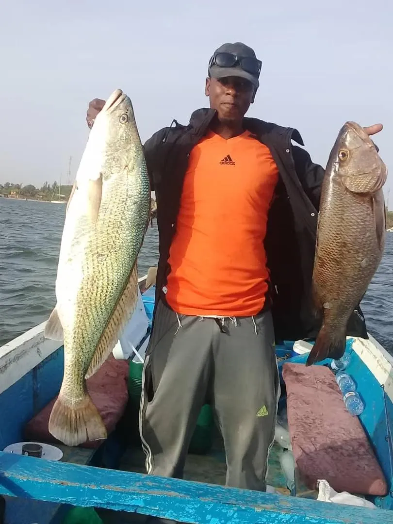 Activities in Résidence Le Marlodj