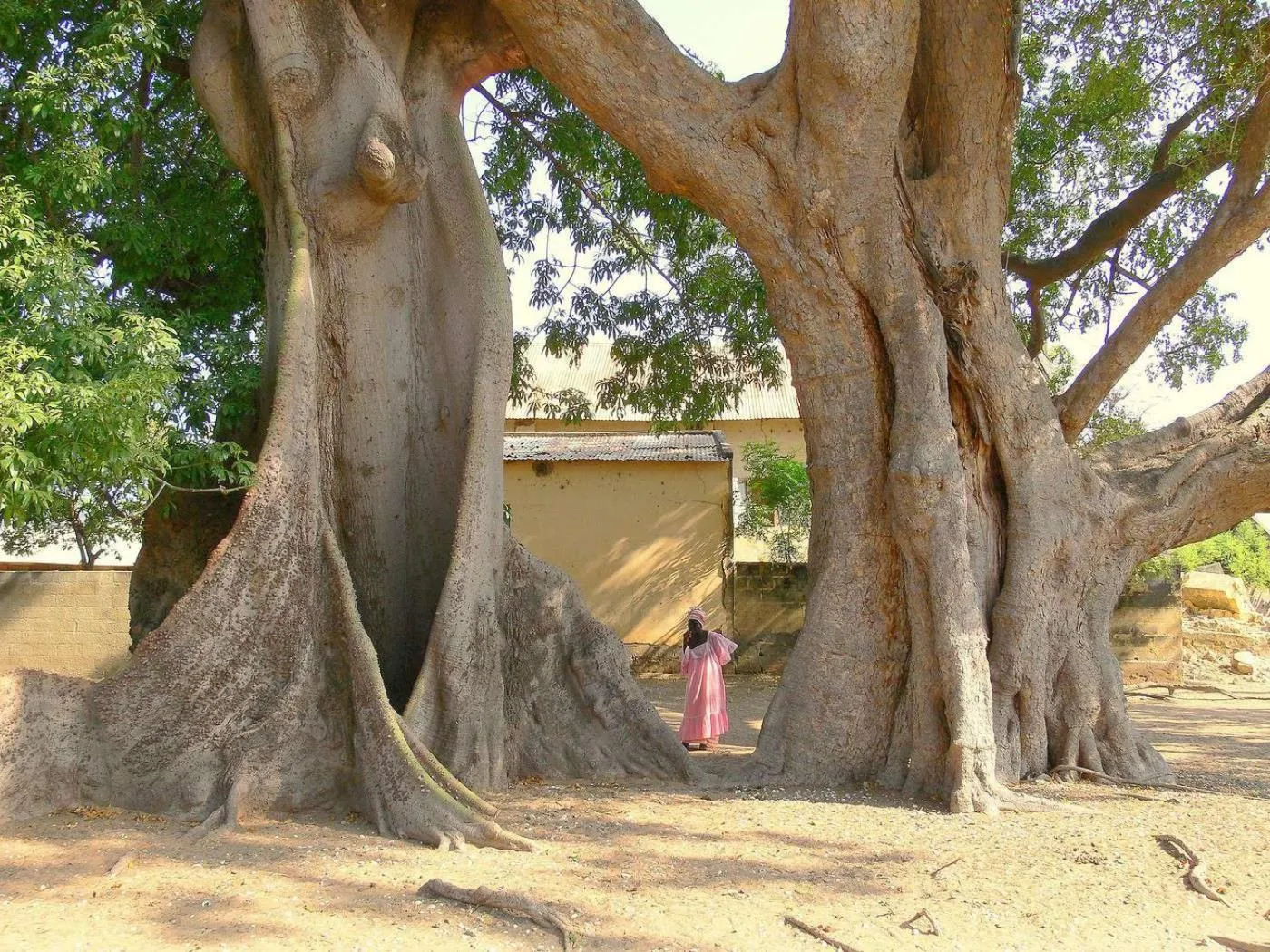 Activities in Résidence Le Marlodj